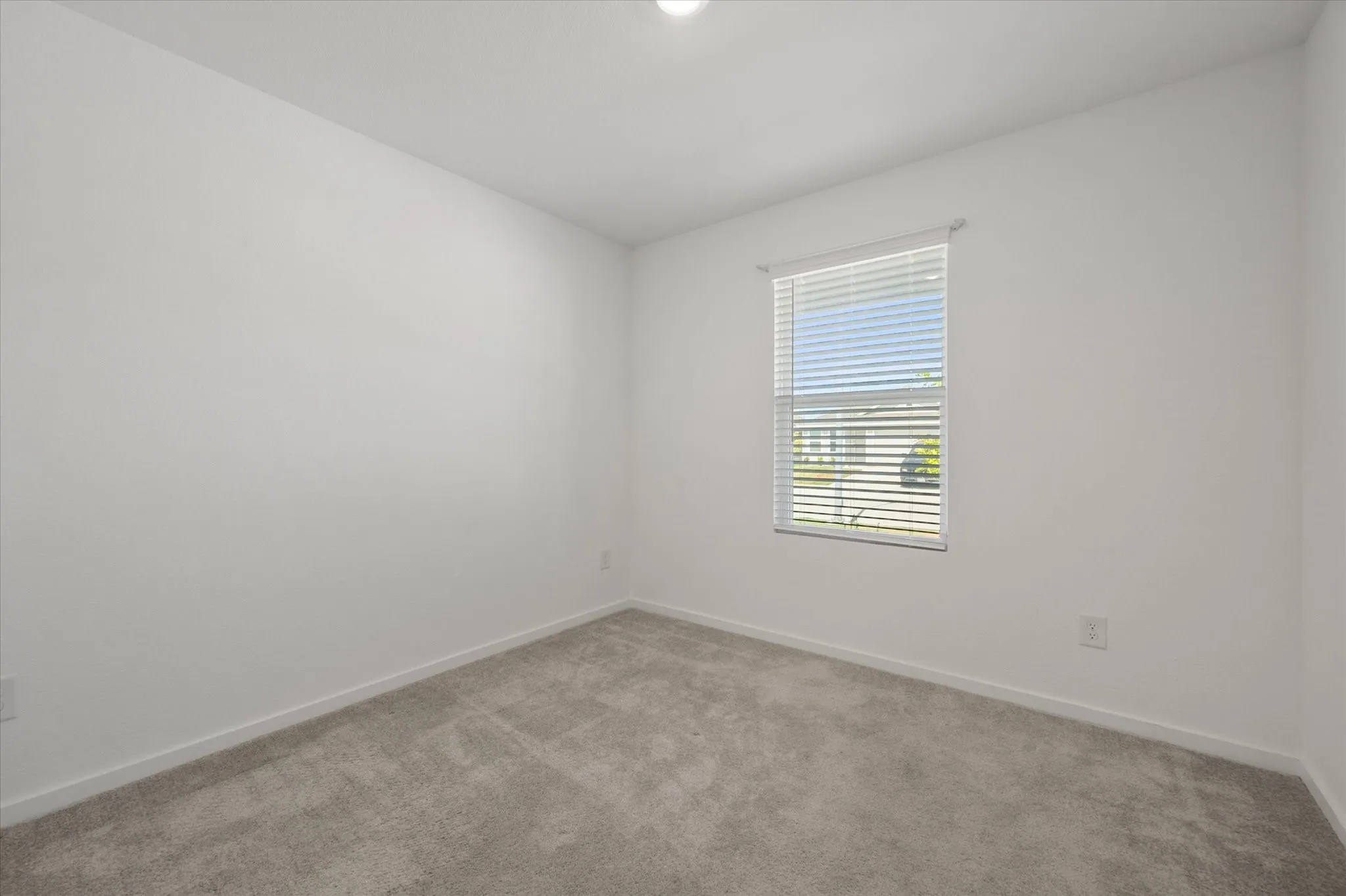 Neutral wall paint, window with horizontal blinds, and carpeting