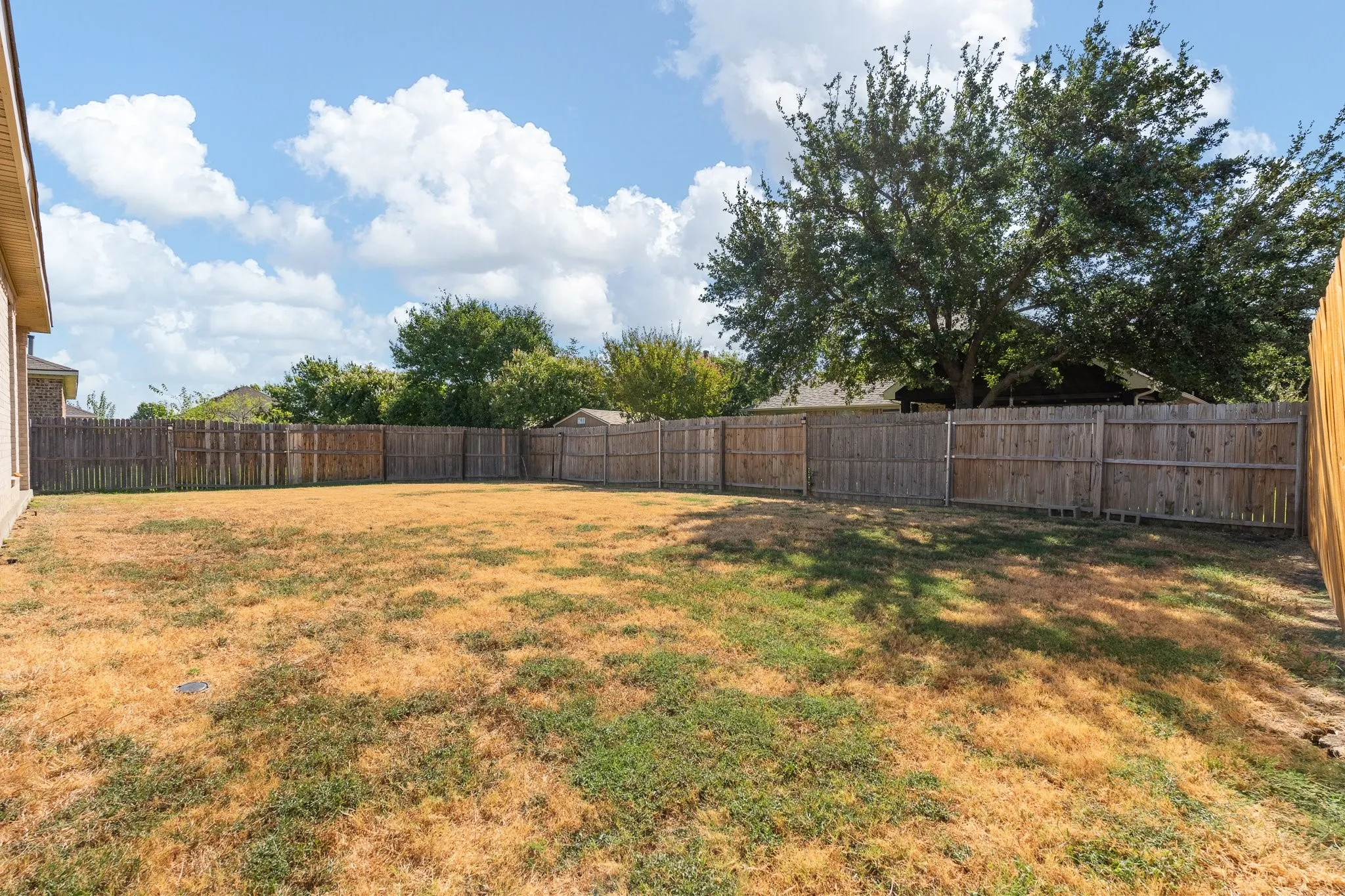 Expansive backyard featuring a wood privacy fence and mature trees