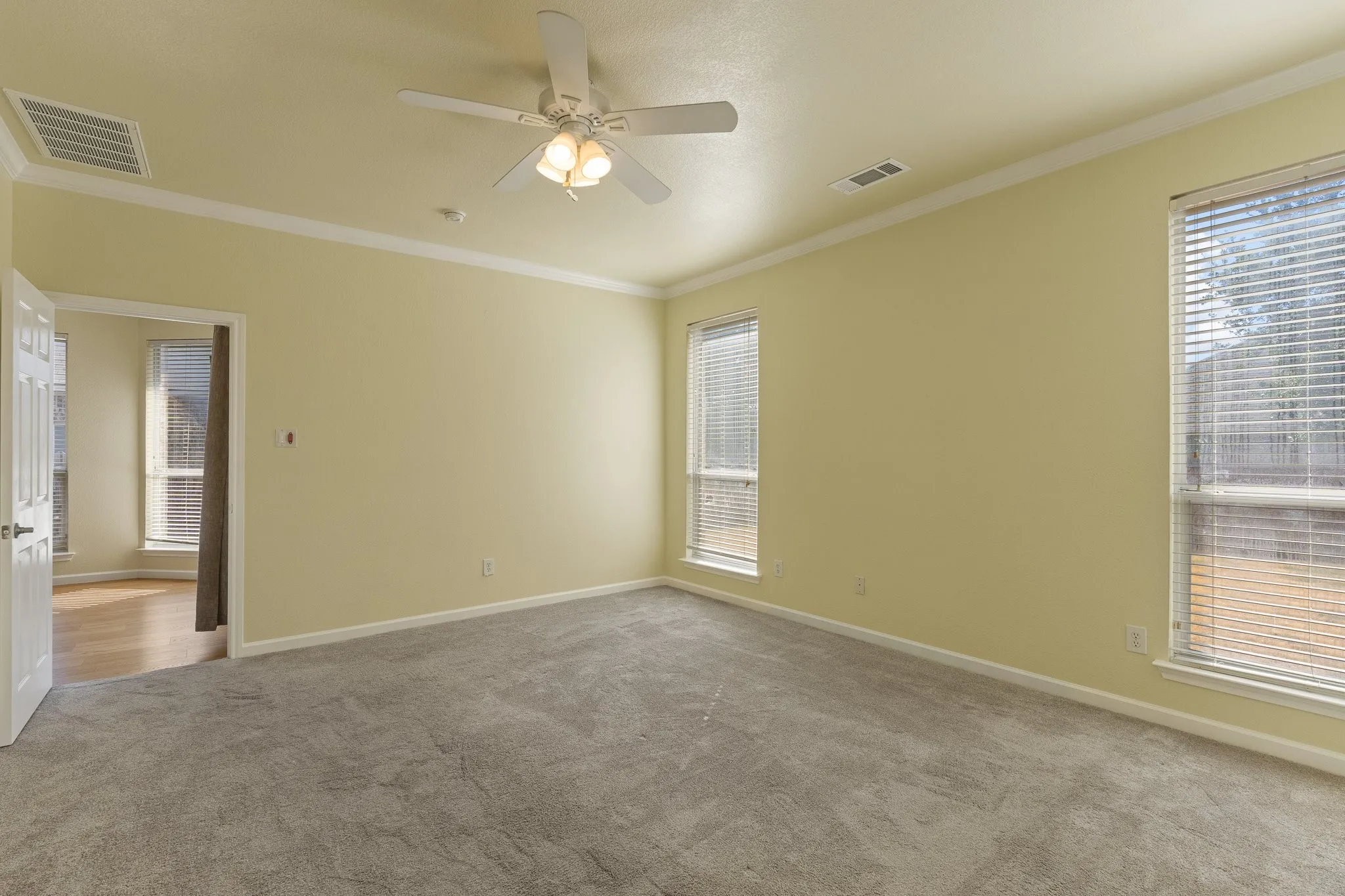 Carpeted room with a ceiling fan, crown molding, and multiple windows with blinds