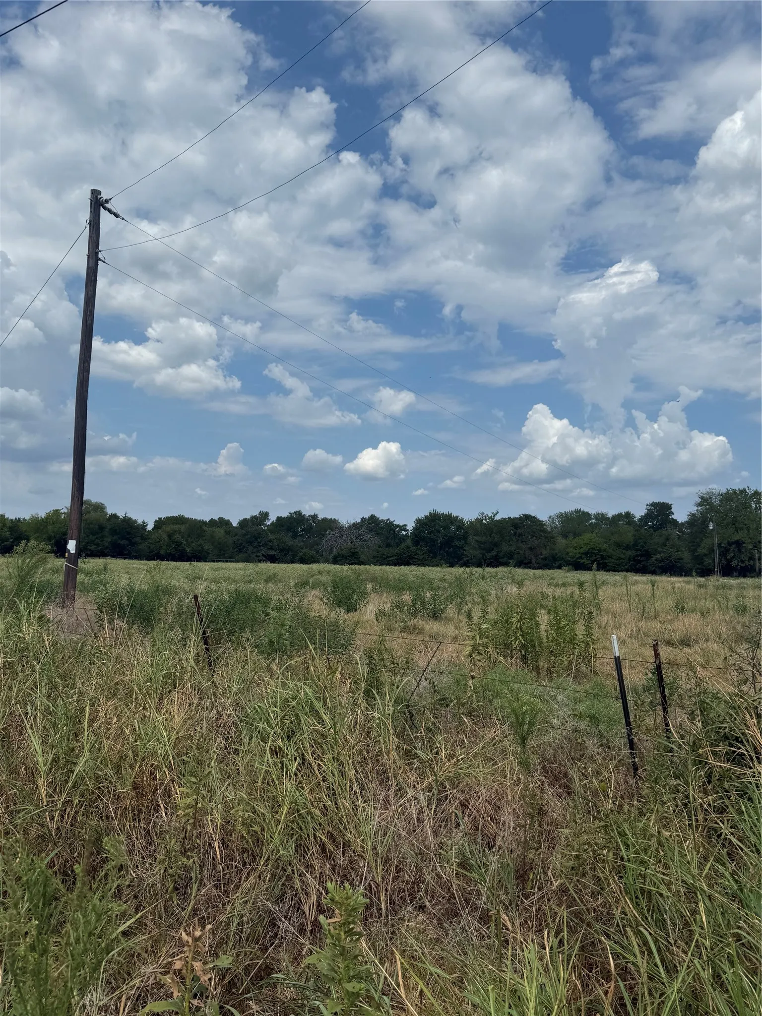 Unimproved Land For Sale in Van Zandt County , 291 VZ County Road 3847, Wills Point, Texas 75169, 0, 0, Garage spaces, 0 Sqft, built in 0, mls#21384136, Real Estate Agent in Wills Point, Homes For Sale in Van Zandt county, Homes For Sale in Wills Point, Realtor in Wills Point Texas, Real Estate Brokerage Independent Realty Texas, Luminita Cordes Realtor
