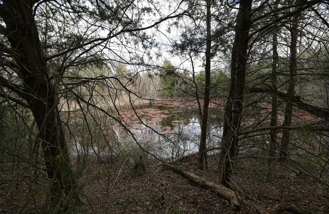 Unimproved Land For Sale in Van Zandt County , 291 VZ County Road 3847, Wills Point, Texas 75169, 0, 0, Garage spaces, 0 Sqft, built in 0, mls#21384136, Real Estate Agent in Wills Point, Homes For Sale in Van Zandt county, Homes For Sale in Wills Point, Realtor in Wills Point Texas, Real Estate Brokerage Independent Realty Texas, Luminita Cordes Realtor