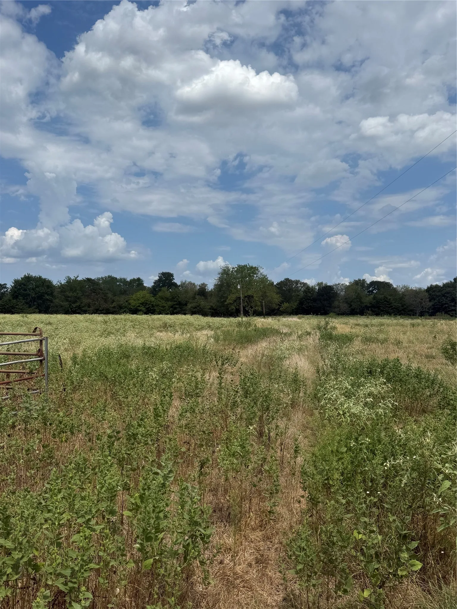 Unimproved Land For Sale in Van Zandt County , 291 VZ County Road 3847, Wills Point, Texas 75169, 0, 0, Garage spaces, 0 Sqft, built in 0, mls#21384136, Real Estate Agent in Wills Point, Homes For Sale in Van Zandt county, Homes For Sale in Wills Point, Realtor in Wills Point Texas, Real Estate Brokerage Independent Realty Texas, Luminita Cordes Realtor