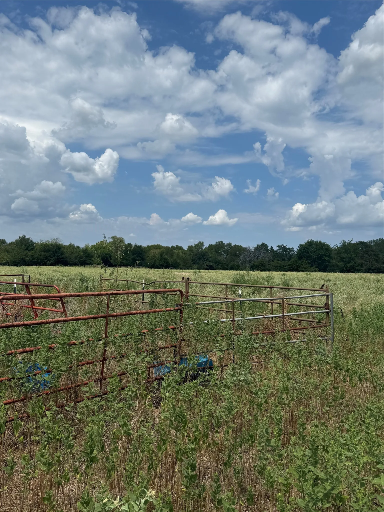 Unimproved Land For Sale in Van Zandt County , 291 VZ County Road 3847, Wills Point, Texas 75169, 0, 0, Garage spaces, 0 Sqft, built in 0, mls#21384136, Real Estate Agent in Wills Point, Homes For Sale in Van Zandt county, Homes For Sale in Wills Point, Realtor in Wills Point Texas, Real Estate Brokerage Independent Realty Texas, Luminita Cordes Realtor