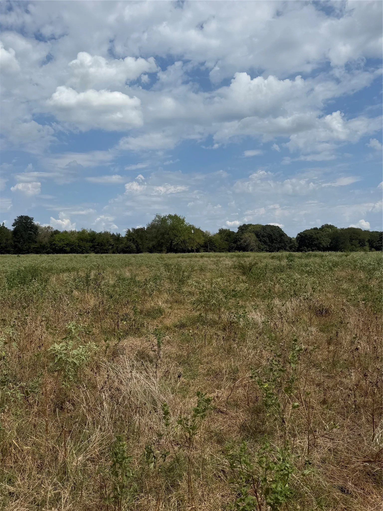Unimproved Land For Sale in Van Zandt County , 291 VZ County Road 3847, Wills Point, Texas 75169, 0, 0, Garage spaces, 0 Sqft, built in 0, mls#21384136, Real Estate Agent in Wills Point, Homes For Sale in Van Zandt county, Homes For Sale in Wills Point, Realtor in Wills Point Texas, Real Estate Brokerage Independent Realty Texas, Luminita Cordes Realtor