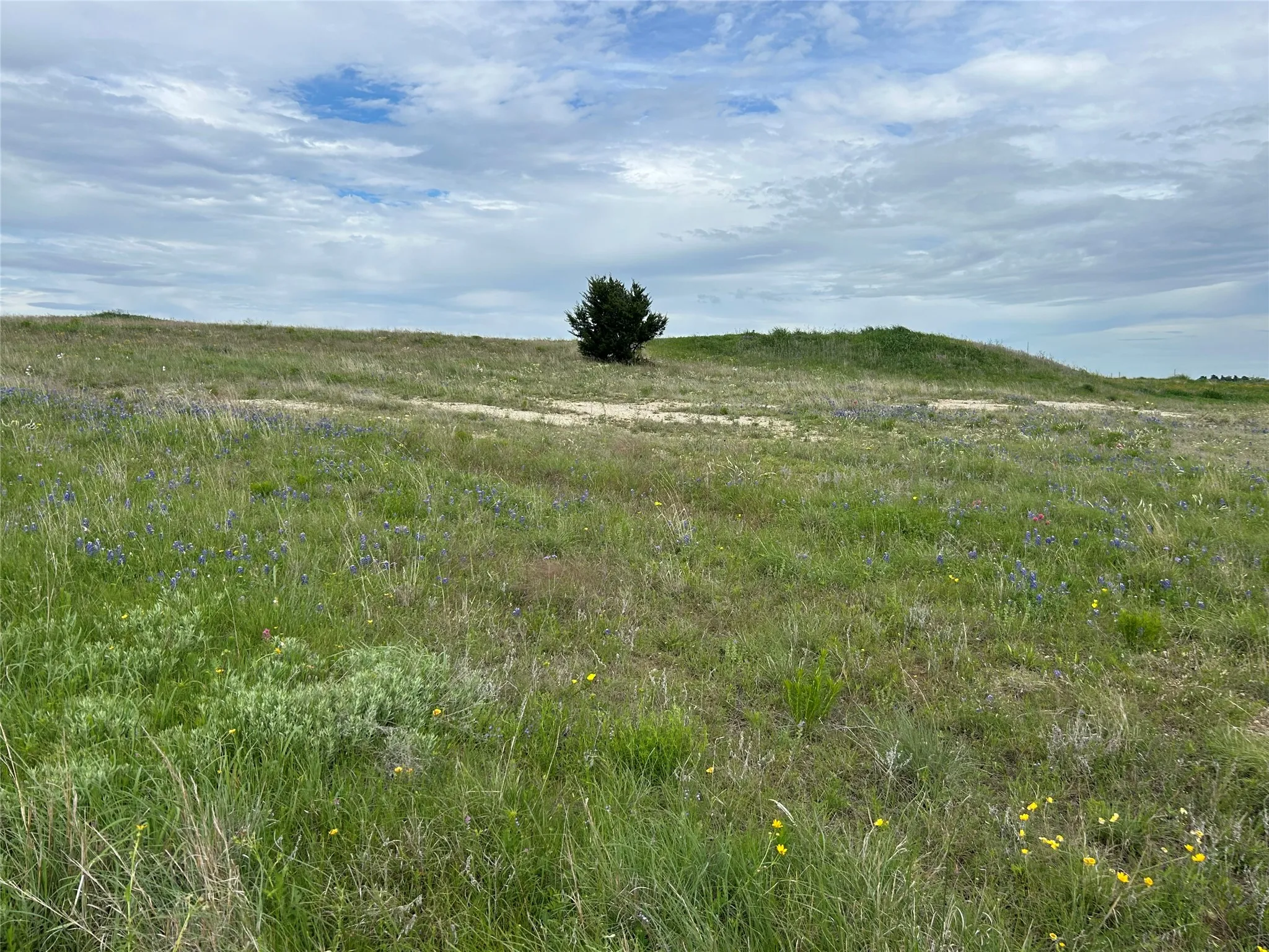 Unimproved Land For Sale in Parker County , 5012 Luker Street, Aledo, Texas 76008, 0, 0, Garage spaces, 0 Sqft, built in 0, mls#21384560, Real Estate Agent in Aledo, Homes For Sale in Parker county, Homes For Sale in Aledo, Realtor in Aledo Texas, Real Estate Brokerage Independent Realty Texas, Luminita Cordes Realtor