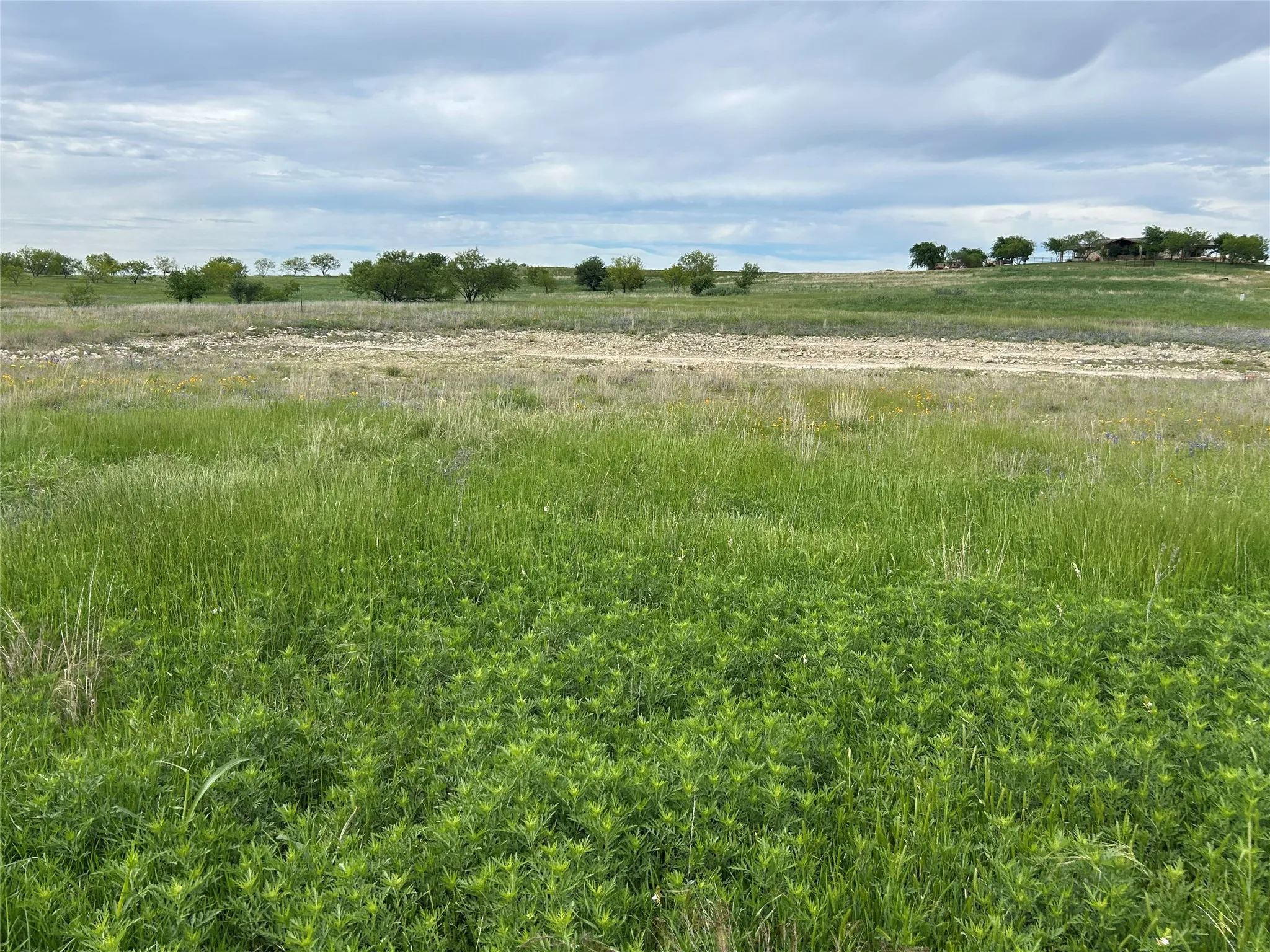 Unimproved Land For Sale in Parker County , 5012 Luker Street, Aledo, Texas 76008, 0, 0, Garage spaces, 0 Sqft, built in 0, mls#21384560, Real Estate Agent in Aledo, Homes For Sale in Parker county, Homes For Sale in Aledo, Realtor in Aledo Texas, Real Estate Brokerage Independent Realty Texas, Luminita Cordes Realtor