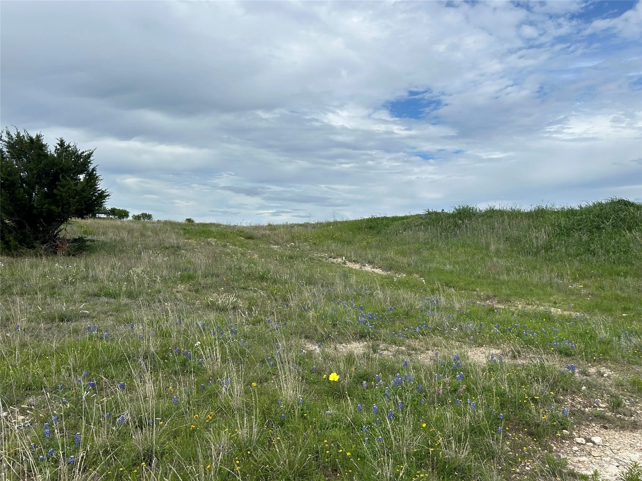 Unimproved Land For Sale in Parker County , 5012 Luker Street, Aledo, Texas 76008, 0, 0, Garage spaces, 0 Sqft, built in 0, mls#21384560, Real Estate Agent in Aledo, Homes For Sale in Parker county, Homes For Sale in Aledo, Realtor in Aledo Texas, Real Estate Brokerage Independent Realty Texas, Luminita Cordes Realtor