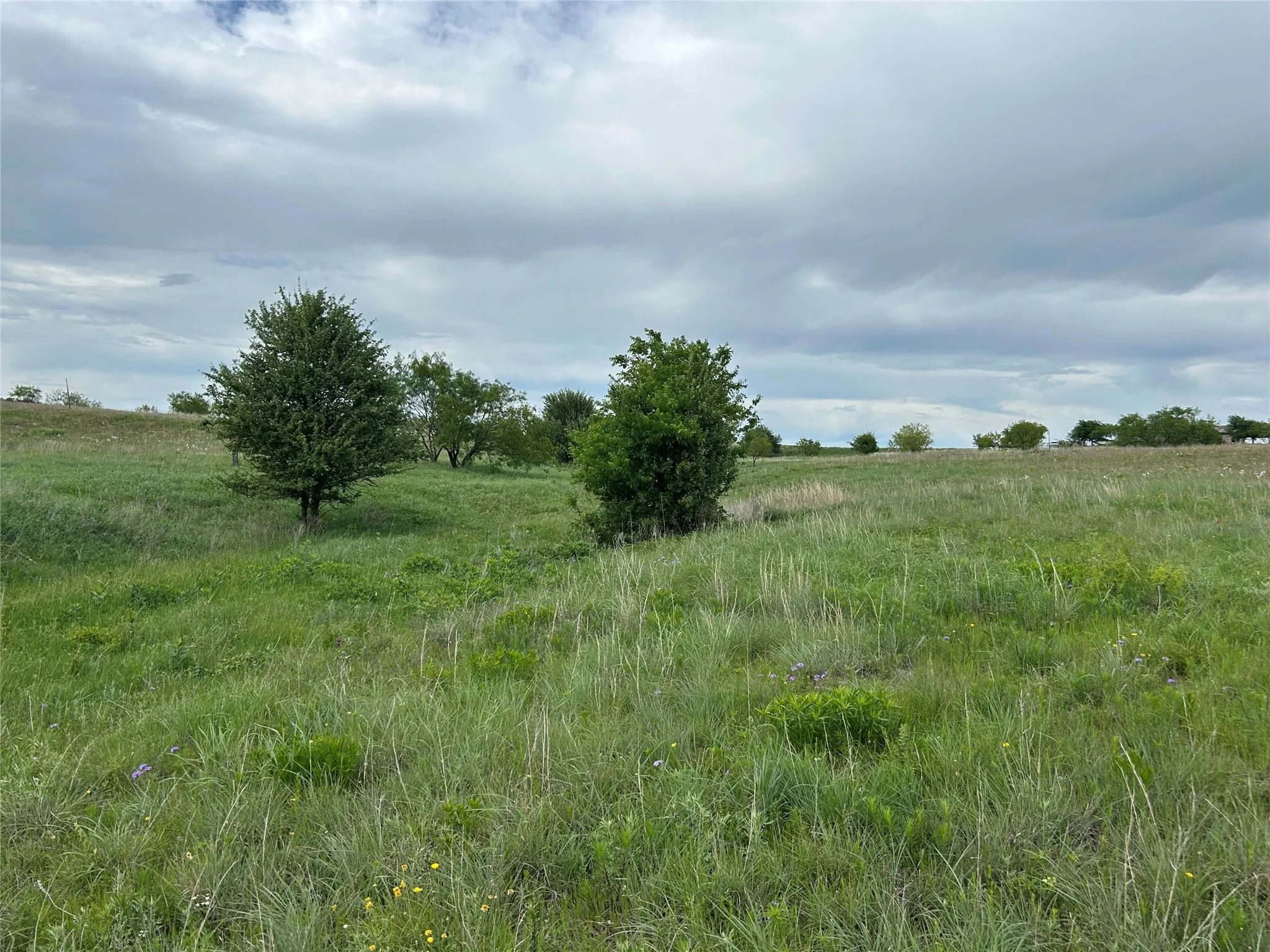 Unimproved Land For Sale in Parker County , 5012 Luker Street, Aledo, Texas 76008, 0, 0, Garage spaces, 0 Sqft, built in 0, mls#21384560, Real Estate Agent in Aledo, Homes For Sale in Parker county, Homes For Sale in Aledo, Realtor in Aledo Texas, Real Estate Brokerage Independent Realty Texas, Luminita Cordes Realtor