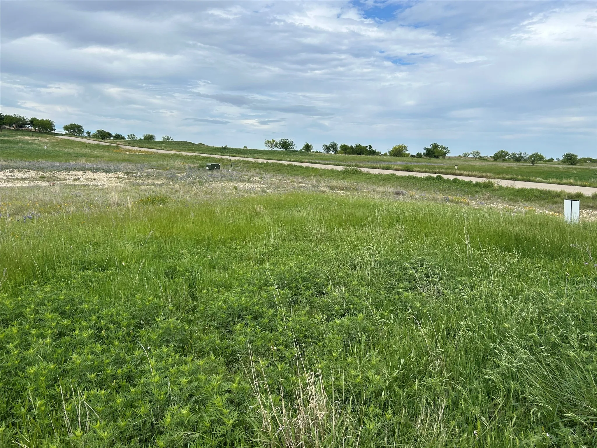 Unimproved Land For Sale in Parker County , 5012 Luker Street, Aledo, Texas 76008, 0, 0, Garage spaces, 0 Sqft, built in 0, mls#21384560, Real Estate Agent in Aledo, Homes For Sale in Parker county, Homes For Sale in Aledo, Realtor in Aledo Texas, Real Estate Brokerage Independent Realty Texas, Luminita Cordes Realtor