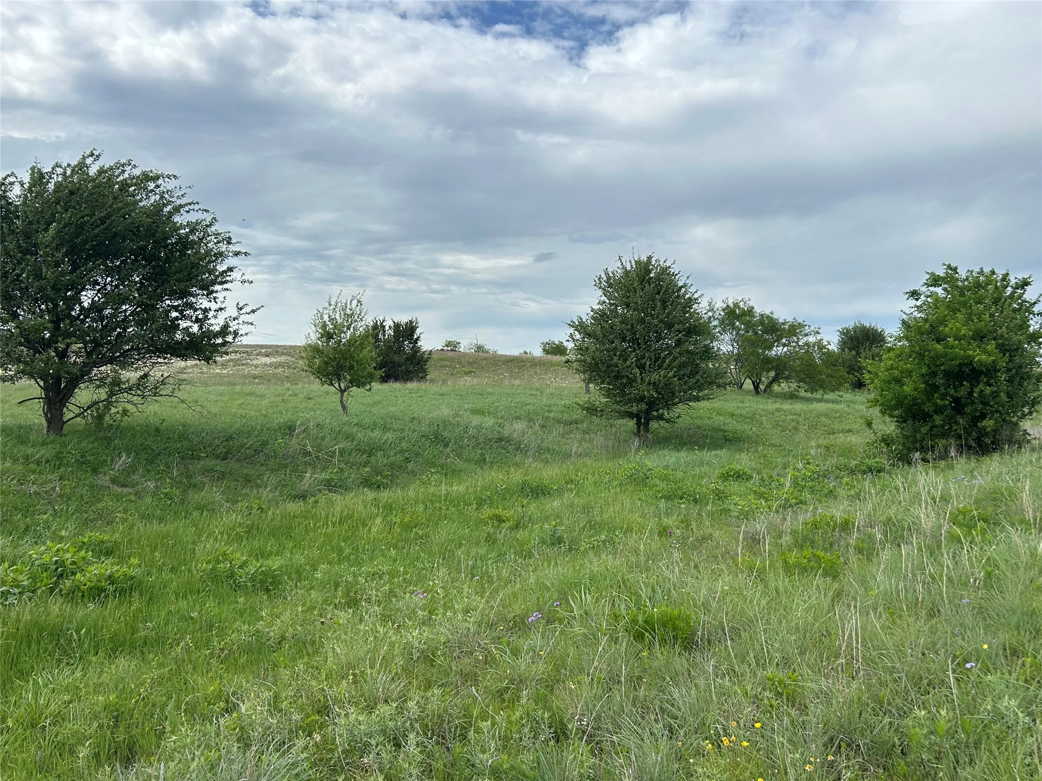 Unimproved Land For Sale in Parker County , 5012 Luker Street, Aledo, Texas 76008, 0, 0, Garage spaces, 0 Sqft, built in 0, mls#21384560, Real Estate Agent in Aledo, Homes For Sale in Parker county, Homes For Sale in Aledo, Realtor in Aledo Texas, Real Estate Brokerage Independent Realty Texas, Luminita Cordes Realtor