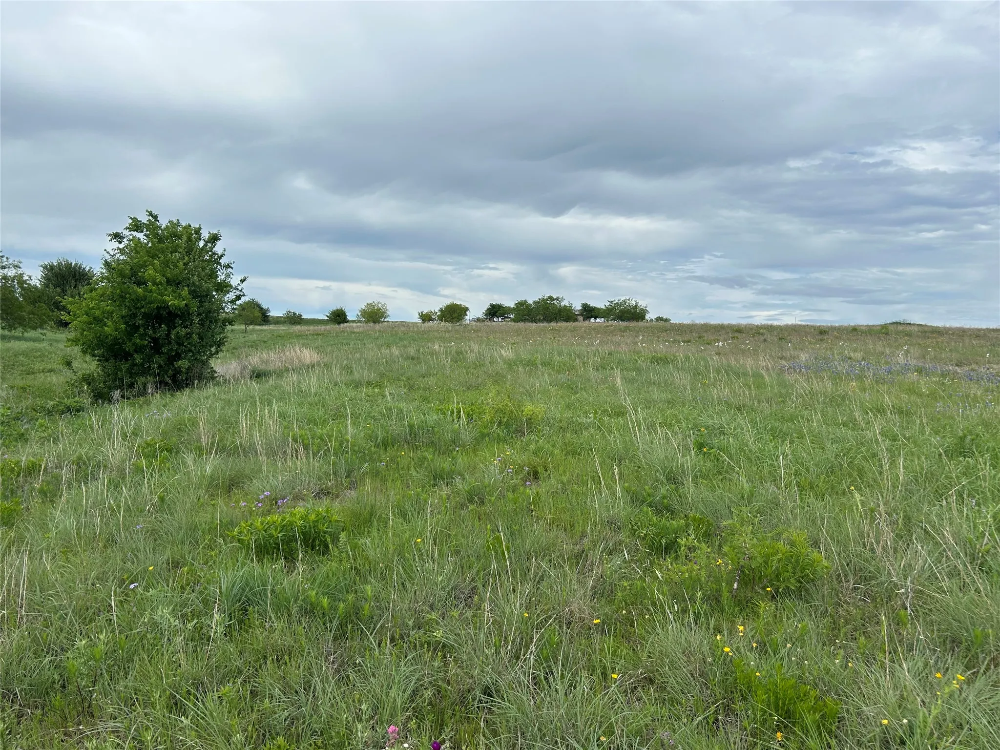 Unimproved Land For Sale in Parker County , 5012 Luker Street, Aledo, Texas 76008, 0, 0, Garage spaces, 0 Sqft, built in 0, mls#21384560, Real Estate Agent in Aledo, Homes For Sale in Parker county, Homes For Sale in Aledo, Realtor in Aledo Texas, Real Estate Brokerage Independent Realty Texas, Luminita Cordes Realtor
