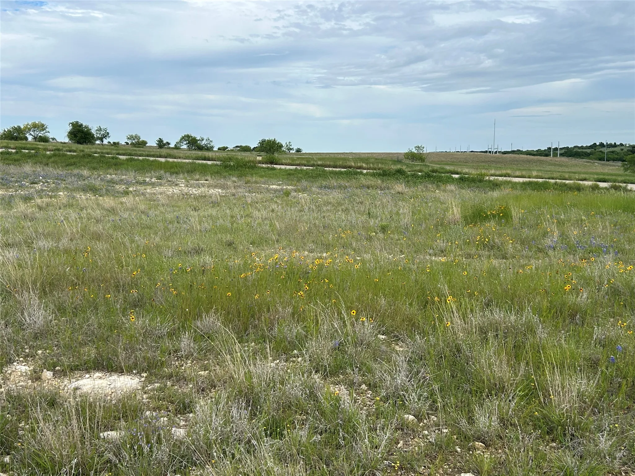 Unimproved Land For Sale in Parker County , 5012 Luker Street, Aledo, Texas 76008, 0, 0, Garage spaces, 0 Sqft, built in 0, mls#21384560, Real Estate Agent in Aledo, Homes For Sale in Parker county, Homes For Sale in Aledo, Realtor in Aledo Texas, Real Estate Brokerage Independent Realty Texas, Luminita Cordes Realtor