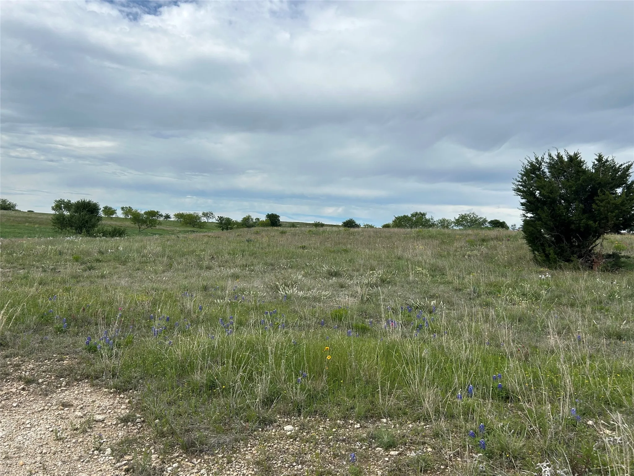 Unimproved Land For Sale in Parker County , 5012 Luker Street, Aledo, Texas 76008, 0, 0, Garage spaces, 0 Sqft, built in 0, mls#21384560, Real Estate Agent in Aledo, Homes For Sale in Parker county, Homes For Sale in Aledo, Realtor in Aledo Texas, Real Estate Brokerage Independent Realty Texas, Luminita Cordes Realtor