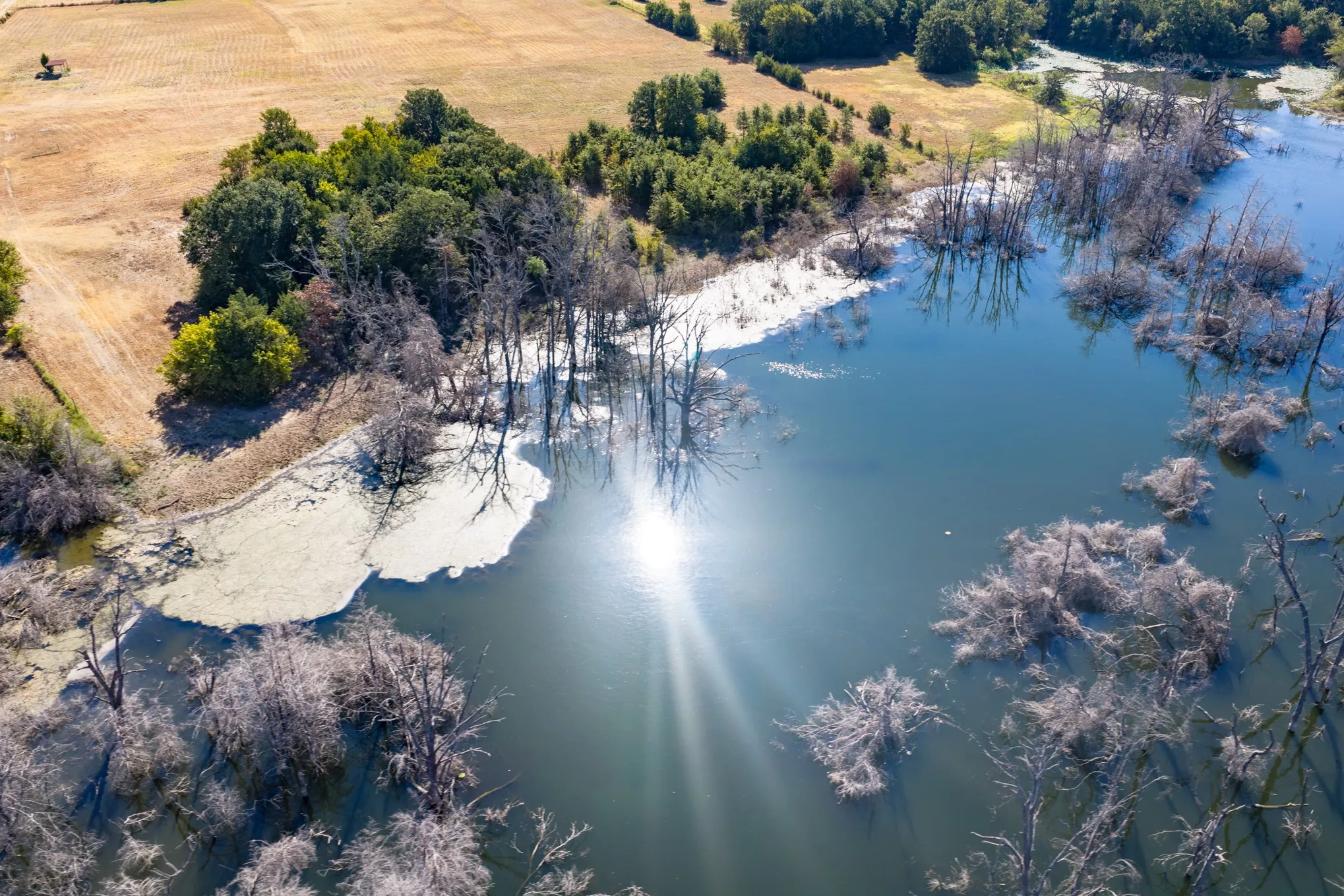 Unimproved Land For Sale in Fannin County , 7355 Fm 897, Telephone, Texas 75488, 0, 0, Garage spaces, 0 Sqft, built in 0, mls#21384592, Real Estate Agent in Telephone, Homes For Sale in Fannin county, Homes For Sale in Telephone, Realtor in Telephone Texas, Real Estate Brokerage Independent Realty Texas, Luminita Cordes Realtor