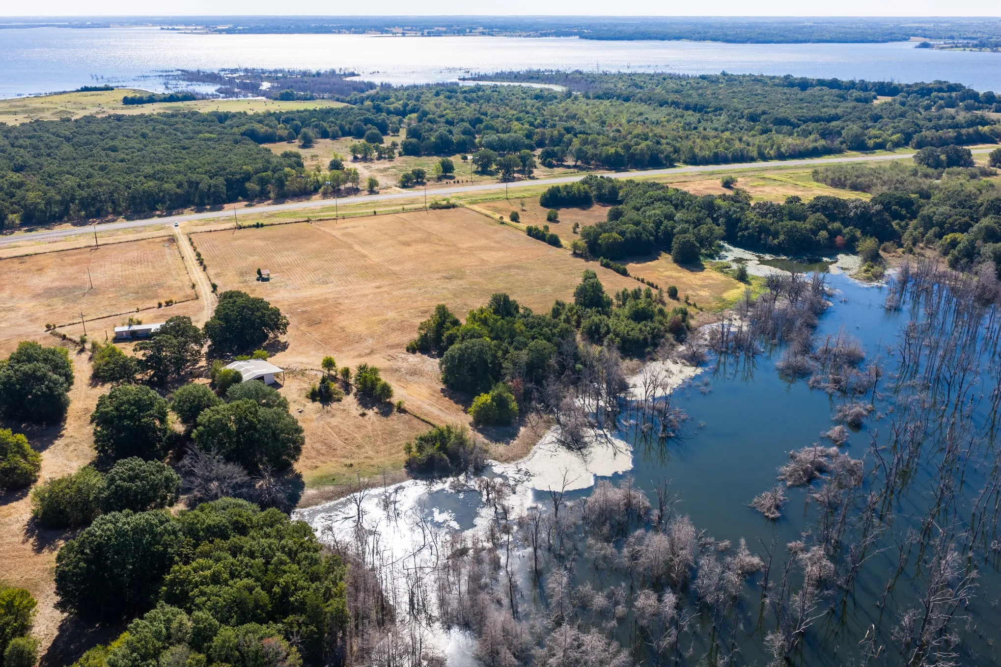 Unimproved Land For Sale in Fannin County , 7355 Fm 897, Telephone, Texas 75488, 0, 0, Garage spaces, 0 Sqft, built in 0, mls#21384592, Real Estate Agent in Telephone, Homes For Sale in Fannin county, Homes For Sale in Telephone, Realtor in Telephone Texas, Real Estate Brokerage Independent Realty Texas, Luminita Cordes Realtor