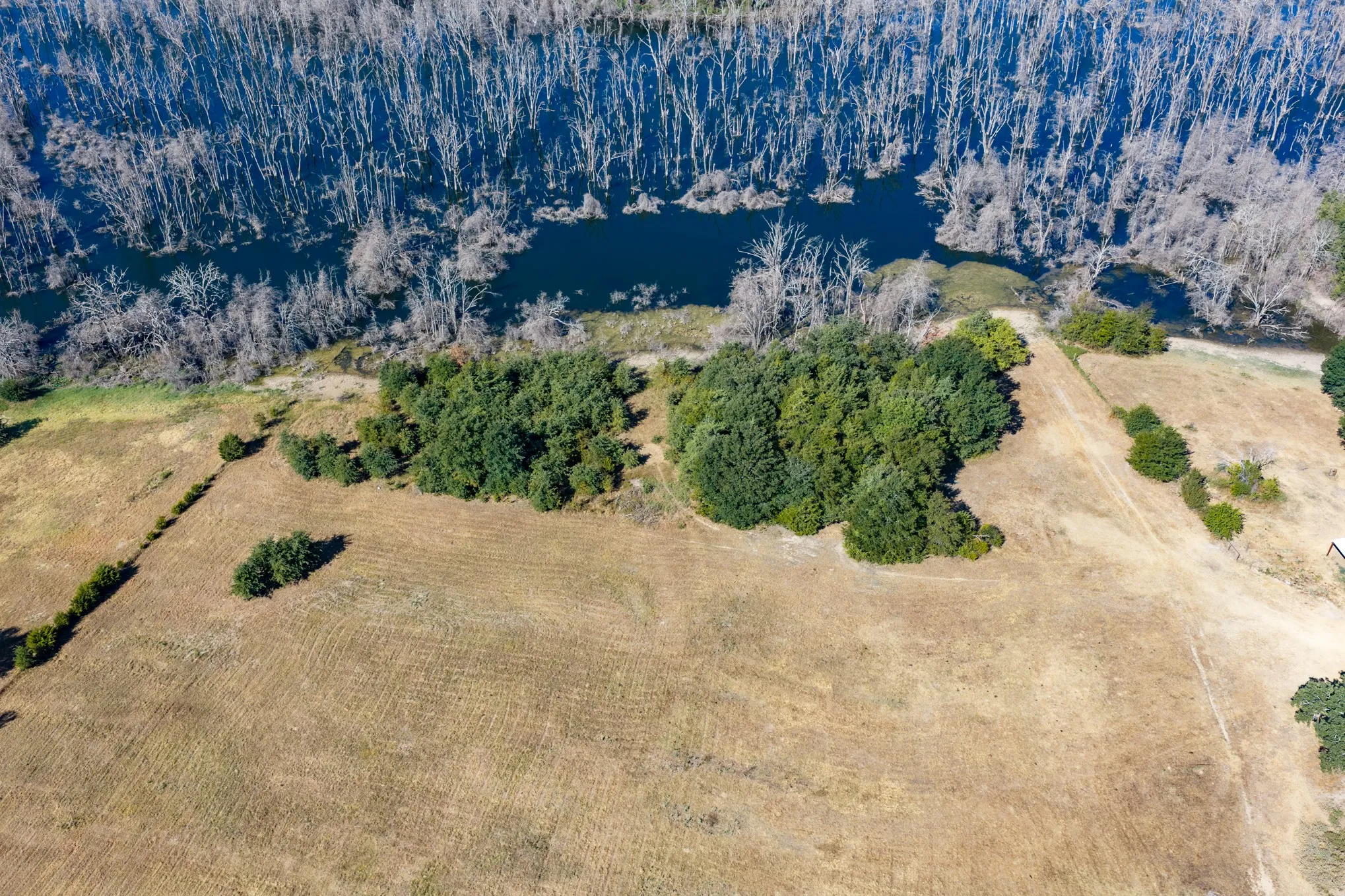 Unimproved Land For Sale in Fannin County , 7355 Fm 897, Telephone, Texas 75488, 0, 0, Garage spaces, 0 Sqft, built in 0, mls#21384592, Real Estate Agent in Telephone, Homes For Sale in Fannin county, Homes For Sale in Telephone, Realtor in Telephone Texas, Real Estate Brokerage Independent Realty Texas, Luminita Cordes Realtor