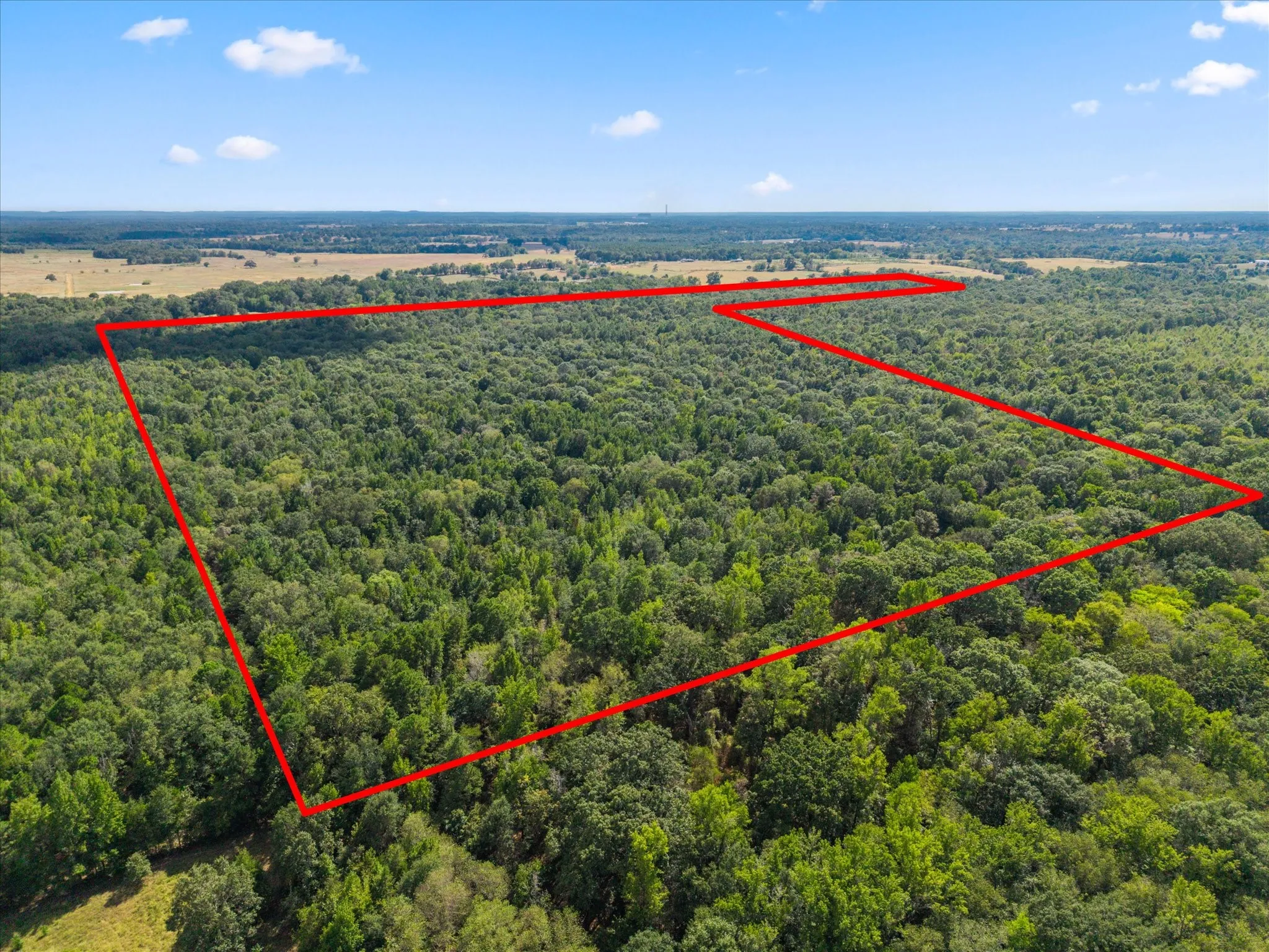 Farm For Sale in Morris County , 355 CR 3301, Omaha, Texas 75571, 3 Bedroom, 2 Bathroom, 3 Garage spaces, 2,400 Sqft, built in 2021, mls#21384507, Real Estate Agent in Omaha, Homes For Sale in Morris county, Homes For Sale in Omaha, Realtor in Omaha Texas, Real Estate Brokerage Independent Realty Texas, Luminita Cordes Realtor