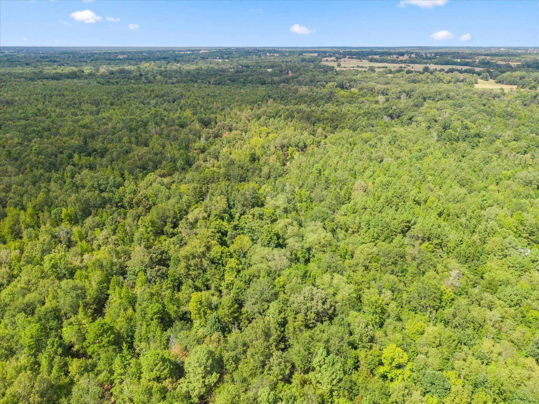 Farm For Sale in Morris County , 355 CR 3301, Omaha, Texas 75571, 3 Bedroom, 2 Bathroom, 3 Garage spaces, 2,400 Sqft, built in 2021, mls#21384507, Real Estate Agent in Omaha, Homes For Sale in Morris county, Homes For Sale in Omaha, Realtor in Omaha Texas, Real Estate Brokerage Independent Realty Texas, Luminita Cordes Realtor
