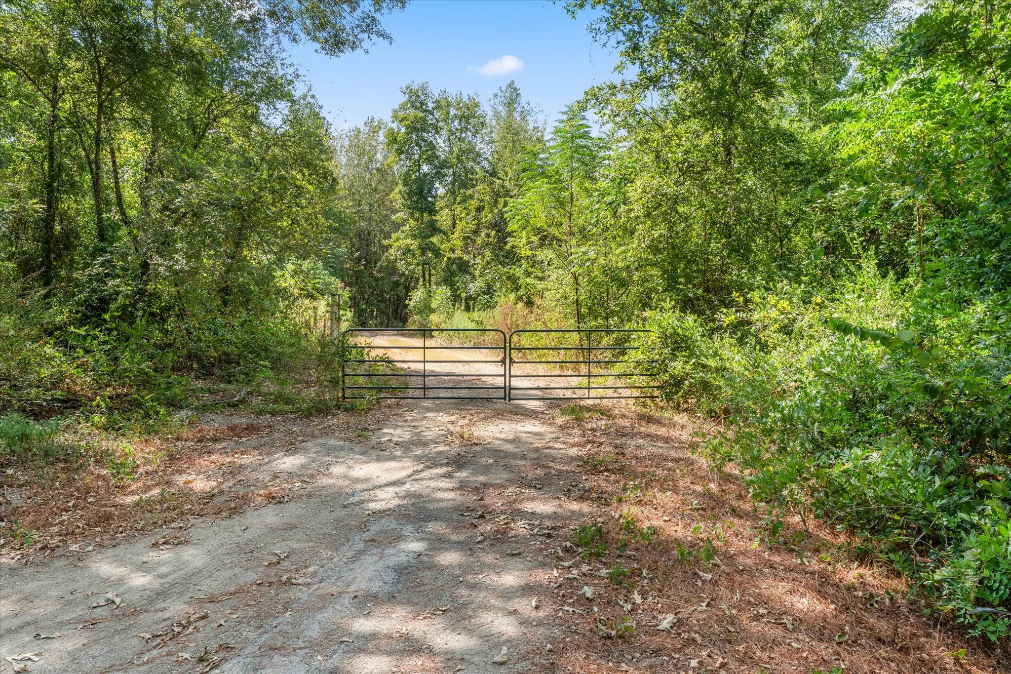 Farm For Sale in Morris County , 355 CR 3301, Omaha, Texas 75571, 3 Bedroom, 2 Bathroom, 3 Garage spaces, 2,400 Sqft, built in 2021, mls#21384507, Real Estate Agent in Omaha, Homes For Sale in Morris county, Homes For Sale in Omaha, Realtor in Omaha Texas, Real Estate Brokerage Independent Realty Texas, Luminita Cordes Realtor