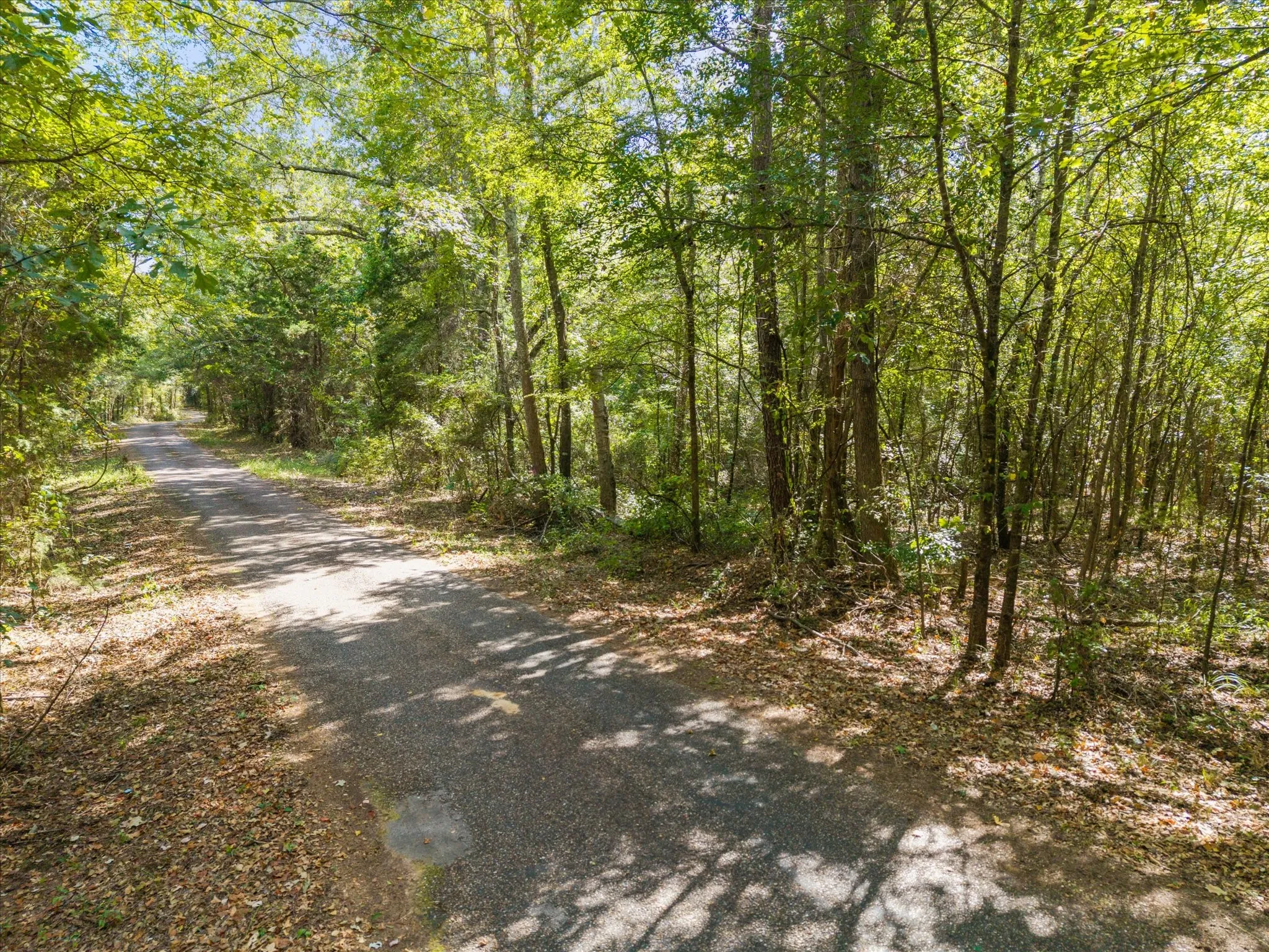 Farm For Sale in Morris County , 355 CR 3301, Omaha, Texas 75571, 3 Bedroom, 2 Bathroom, 3 Garage spaces, 2,400 Sqft, built in 2021, mls#21384507, Real Estate Agent in Omaha, Homes For Sale in Morris county, Homes For Sale in Omaha, Realtor in Omaha Texas, Real Estate Brokerage Independent Realty Texas, Luminita Cordes Realtor