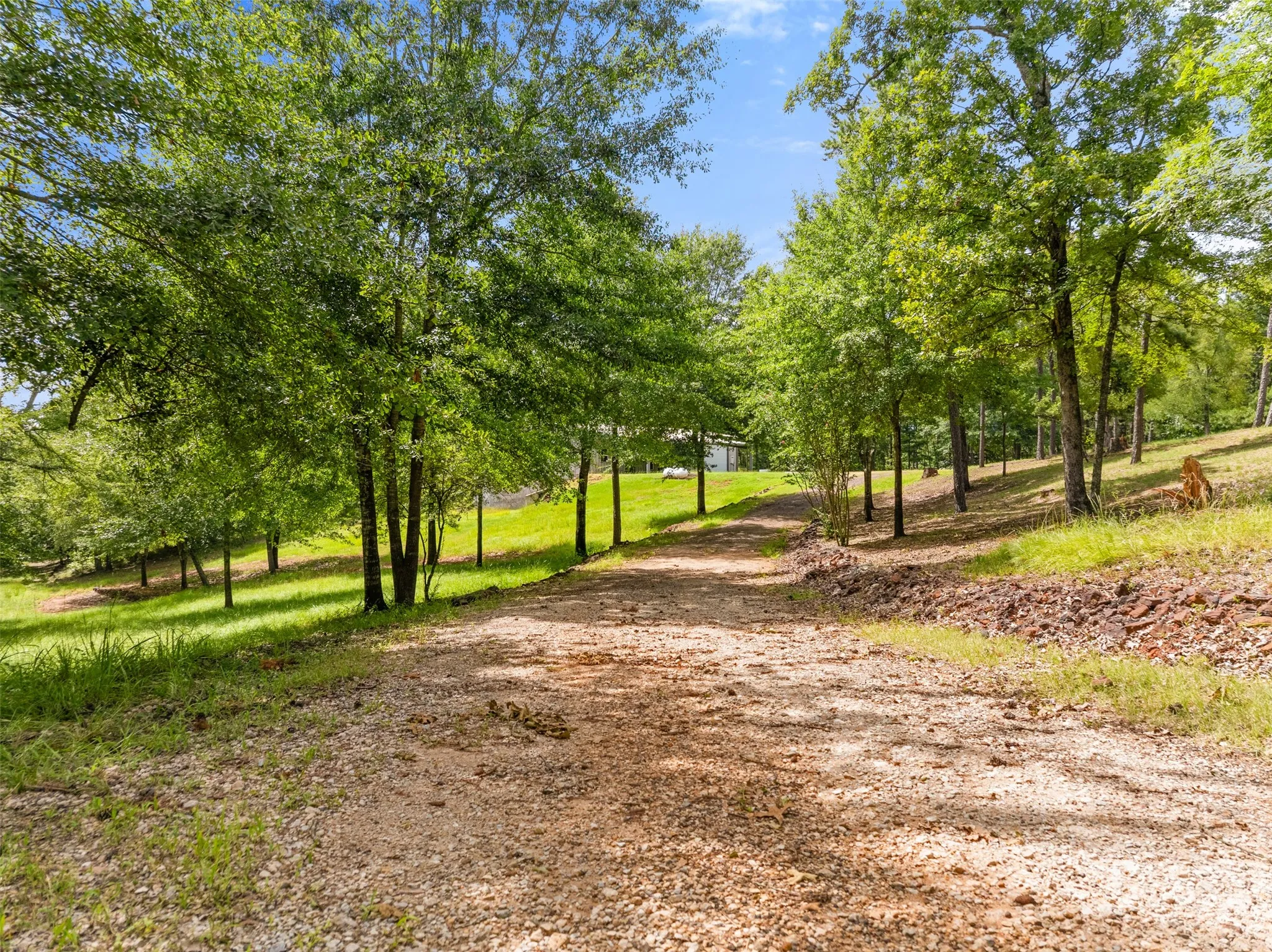 Farm For Sale in Smith County , 17379 County Road 318, Tyler, Texas 75706, 3 Bedroom, 2 Bathroom, 4 Garage spaces, 3,690 Sqft, built in 2016, mls#21384611, Real Estate Agent in Tyler, Homes For Sale in Smith county, Homes For Sale in Tyler, Realtor in Tyler Texas, Real Estate Brokerage Independent Realty Texas, Luminita Cordes Realtor