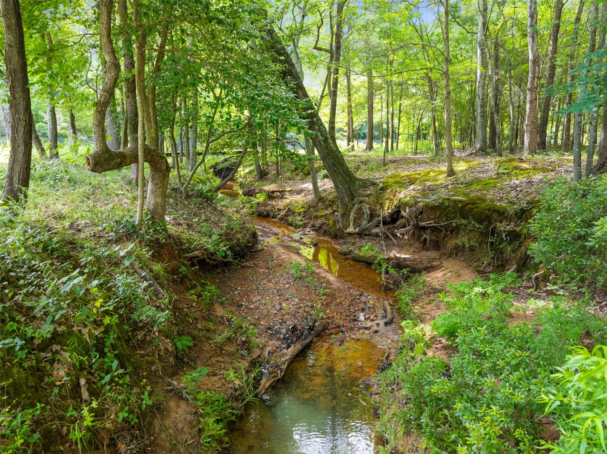 Farm For Sale in Smith County , 17379 County Road 318, Tyler, Texas 75706, 3 Bedroom, 2 Bathroom, 4 Garage spaces, 3,690 Sqft, built in 2016, mls#21384611, Real Estate Agent in Tyler, Homes For Sale in Smith county, Homes For Sale in Tyler, Realtor in Tyler Texas, Real Estate Brokerage Independent Realty Texas, Luminita Cordes Realtor