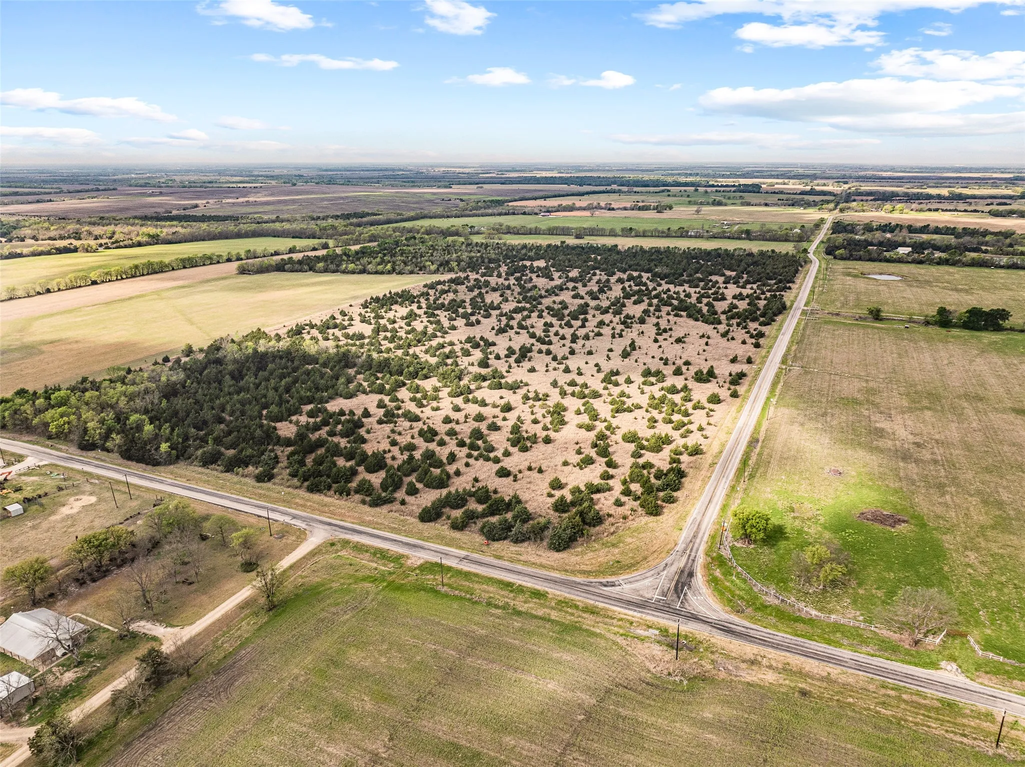 Unimproved Land For Sale in Delta County , TBD Lot 1 FM 128, Cooper, Texas 75432, 0, 0, Garage spaces, 0 Sqft, built in 0, mls#21384603, Real Estate Agent in Cooper, Homes For Sale in Delta county, Homes For Sale in Cooper, Realtor in Cooper Texas, Real Estate Brokerage Independent Realty Texas, Luminita Cordes Realtor