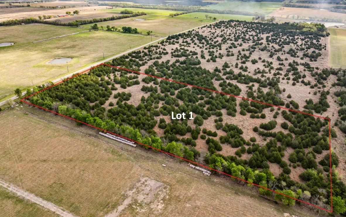 Unimproved Land For Sale in Delta County , TBD Lot 1 FM 128, Cooper, Texas 75432, 0, 0, Garage spaces, 0 Sqft, built in 0, mls#21384603, Real Estate Agent in Cooper, Homes For Sale in Delta county, Homes For Sale in Cooper, Realtor in Cooper Texas, Real Estate Brokerage Independent Realty Texas, Luminita Cordes Realtor