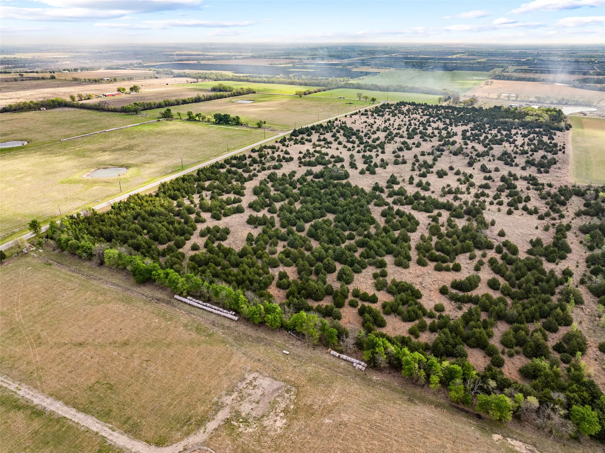Unimproved Land For Sale in Delta County , TBD Lot 1 FM 128, Cooper, Texas 75432, 0, 0, Garage spaces, 0 Sqft, built in 0, mls#21384603, Real Estate Agent in Cooper, Homes For Sale in Delta county, Homes For Sale in Cooper, Realtor in Cooper Texas, Real Estate Brokerage Independent Realty Texas, Luminita Cordes Realtor