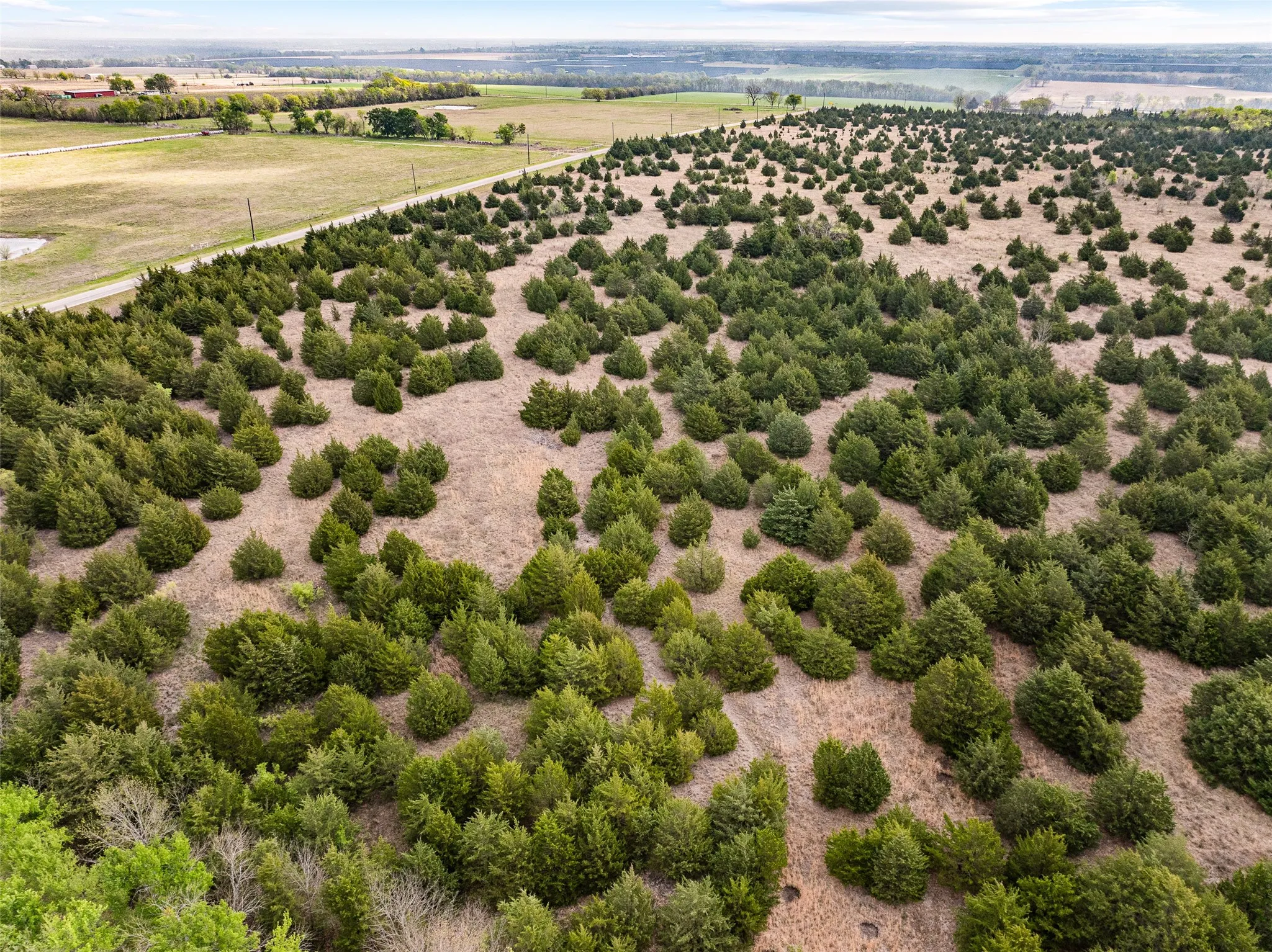 Unimproved Land For Sale in Delta County , TBD Lot 1 FM 128, Cooper, Texas 75432, 0, 0, Garage spaces, 0 Sqft, built in 0, mls#21384603, Real Estate Agent in Cooper, Homes For Sale in Delta county, Homes For Sale in Cooper, Realtor in Cooper Texas, Real Estate Brokerage Independent Realty Texas, Luminita Cordes Realtor