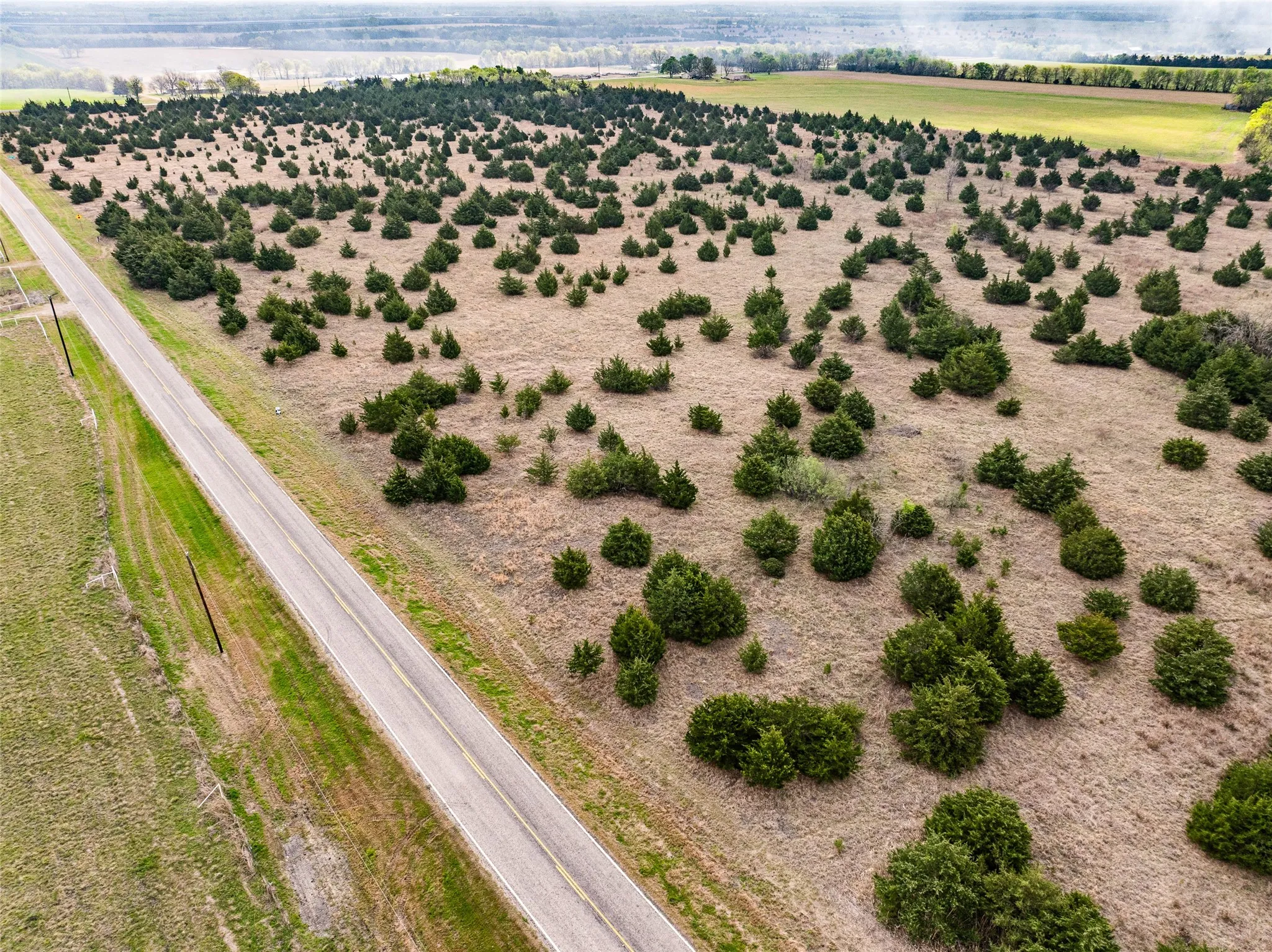 Unimproved Land For Sale in Delta County , TBD Lot 1 FM 128, Cooper, Texas 75432, 0, 0, Garage spaces, 0 Sqft, built in 0, mls#21384603, Real Estate Agent in Cooper, Homes For Sale in Delta county, Homes For Sale in Cooper, Realtor in Cooper Texas, Real Estate Brokerage Independent Realty Texas, Luminita Cordes Realtor