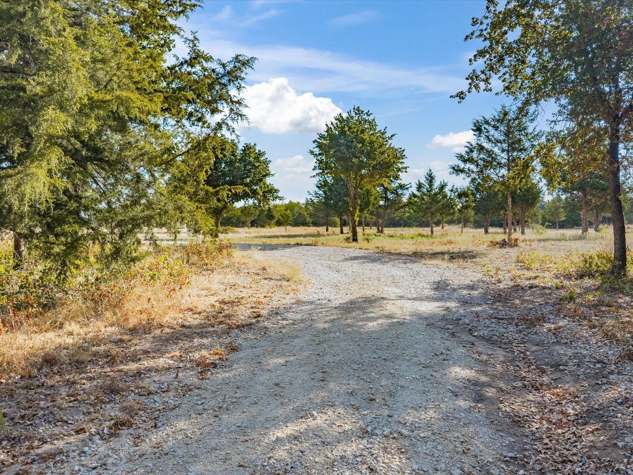 Improved Land For Sale in Montague County , 7832 US Highway 287, Bowie, Texas 76230, 0, 0, Garage spaces, 0 Sqft, built in 0, mls#21383590, Real Estate Agent in Bowie, Homes For Sale in Montague county, Homes For Sale in Bowie, Realtor in Bowie Texas, Real Estate Brokerage Independent Realty Texas, Luminita Cordes Realtor