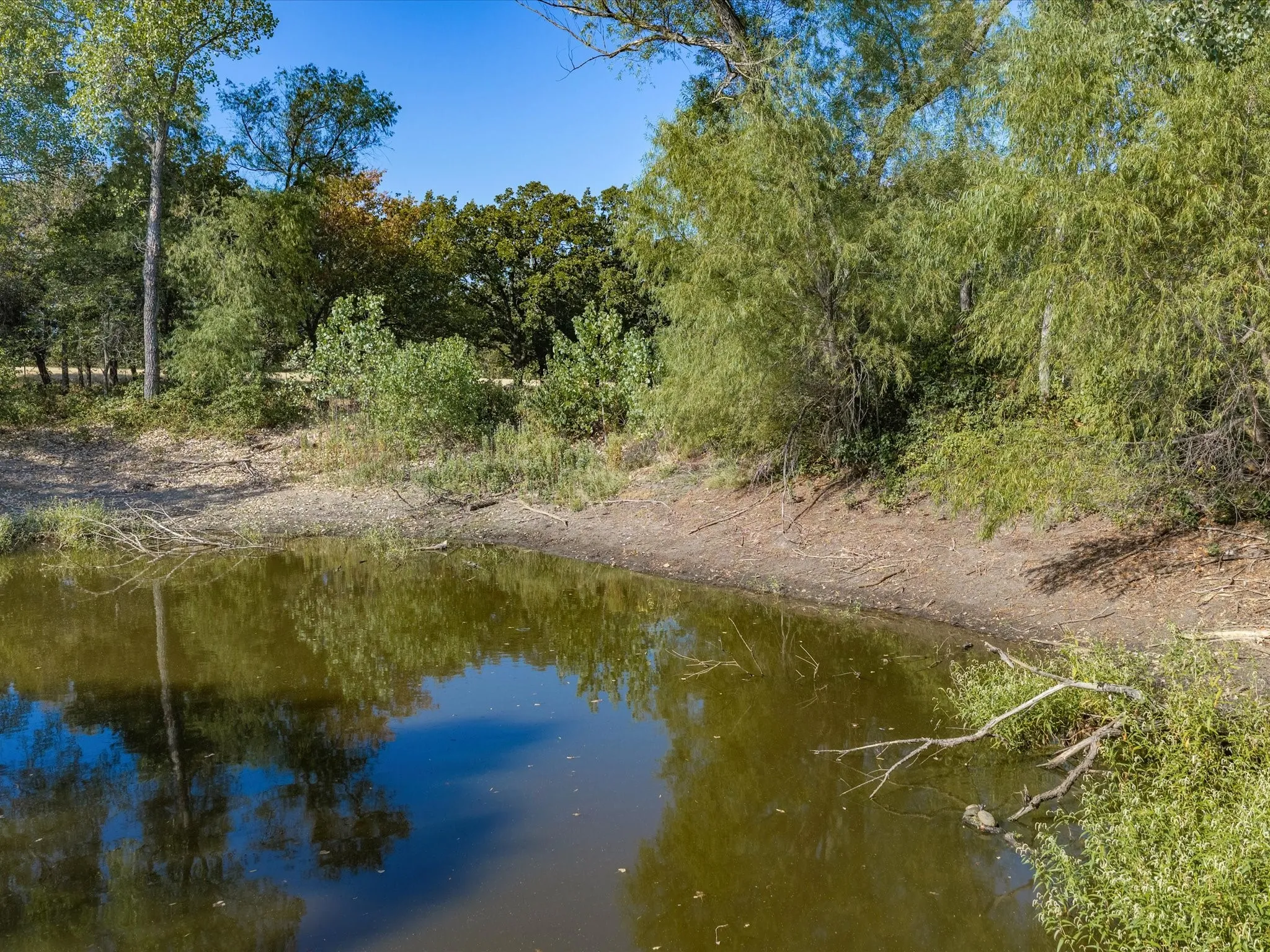 Improved Land For Sale in Montague County , 7832 US Highway 287, Bowie, Texas 76230, 0, 0, Garage spaces, 0 Sqft, built in 0, mls#21383590, Real Estate Agent in Bowie, Homes For Sale in Montague county, Homes For Sale in Bowie, Realtor in Bowie Texas, Real Estate Brokerage Independent Realty Texas, Luminita Cordes Realtor
