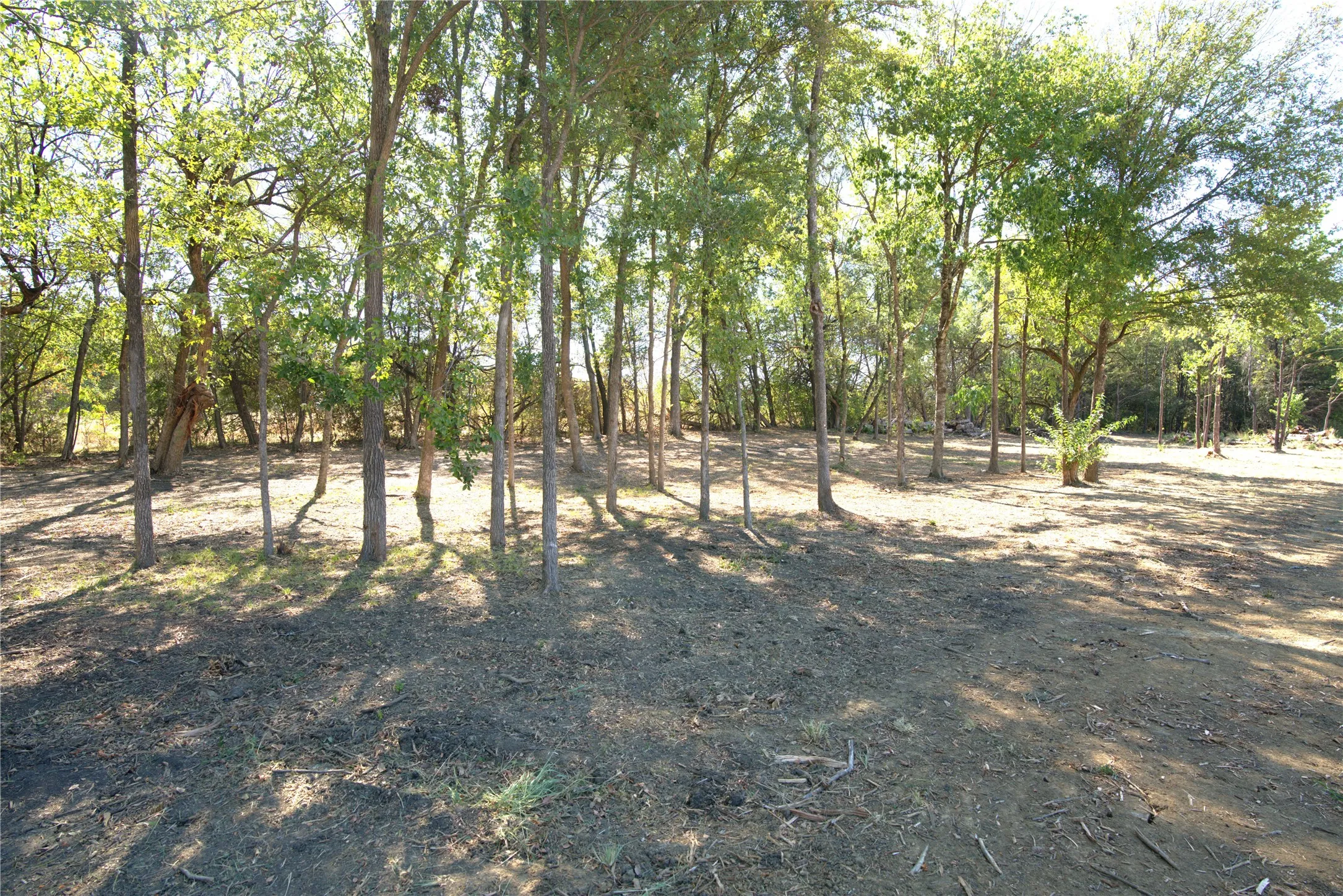Improved Land For Sale in Lamar County , 77 County Road 42351, Paris, Texas 75462, 0, 0, Garage spaces, 0 Sqft, built in 0, mls#21384628, Real Estate Agent in Paris, Homes For Sale in Lamar county, Homes For Sale in Paris, Realtor in Paris Texas, Real Estate Brokerage Independent Realty Texas, Luminita Cordes Realtor