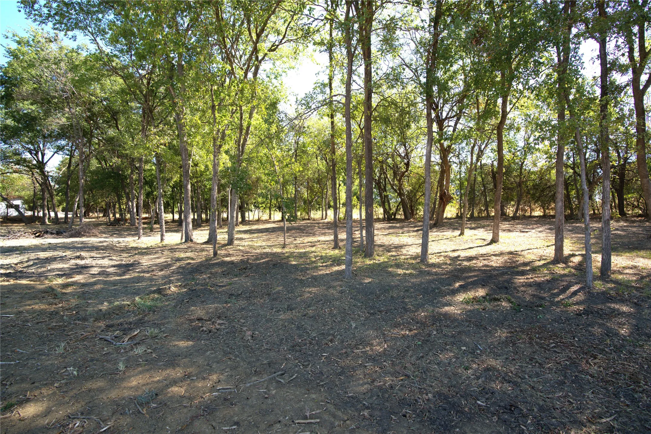 Improved Land For Sale in Lamar County , 77 County Road 42351, Paris, Texas 75462, 0, 0, Garage spaces, 0 Sqft, built in 0, mls#21384628, Real Estate Agent in Paris, Homes For Sale in Lamar county, Homes For Sale in Paris, Realtor in Paris Texas, Real Estate Brokerage Independent Realty Texas, Luminita Cordes Realtor