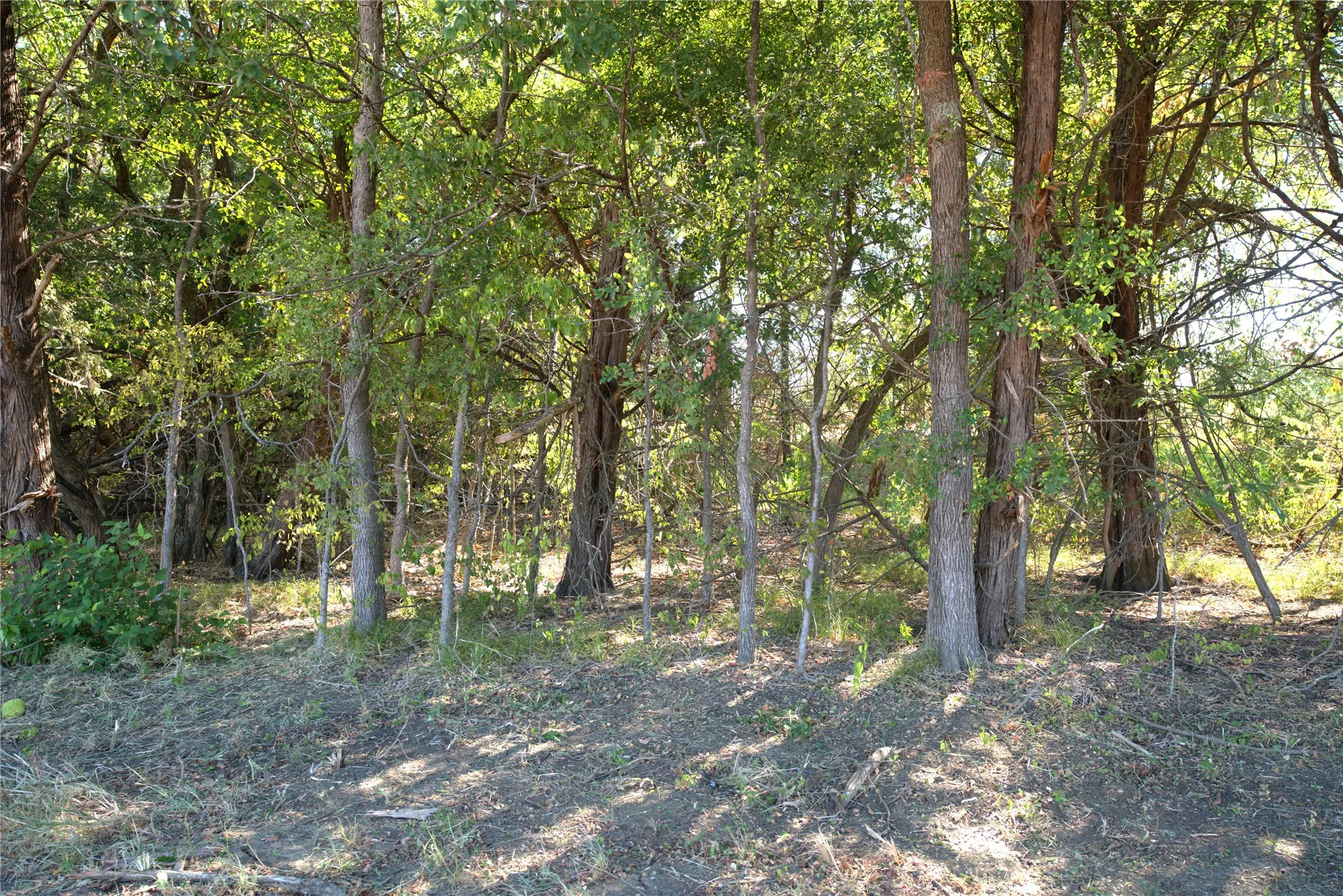 Improved Land For Sale in Lamar County , 77 County Road 42351, Paris, Texas 75462, 0, 0, Garage spaces, 0 Sqft, built in 0, mls#21384628, Real Estate Agent in Paris, Homes For Sale in Lamar county, Homes For Sale in Paris, Realtor in Paris Texas, Real Estate Brokerage Independent Realty Texas, Luminita Cordes Realtor