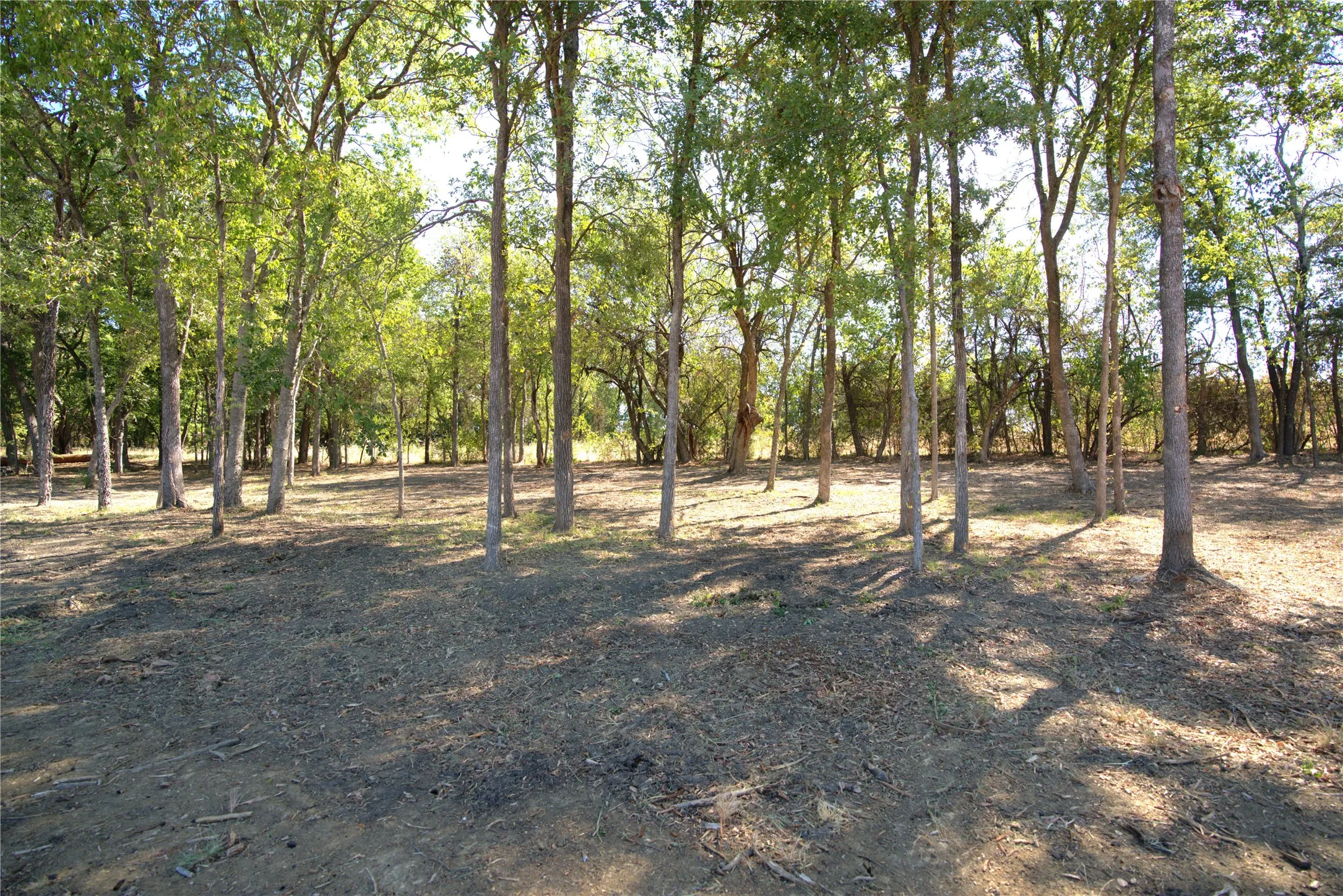 Improved Land For Sale in Lamar County , 77 County Road 42351, Paris, Texas 75462, 0, 0, Garage spaces, 0 Sqft, built in 0, mls#21384628, Real Estate Agent in Paris, Homes For Sale in Lamar county, Homes For Sale in Paris, Realtor in Paris Texas, Real Estate Brokerage Independent Realty Texas, Luminita Cordes Realtor