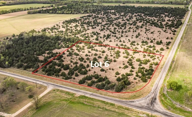 Unimproved Land For Sale in Delta County , TBD Lot 6 FM 128, Cooper, Texas 75432, 0, 0, Garage spaces, 0 Sqft, built in 0, mls#21384625, Real Estate Agent in Cooper, Homes For Sale in Delta county, Homes For Sale in Cooper, Realtor in Cooper Texas, Real Estate Brokerage Independent Realty Texas, Luminita Cordes Realtor