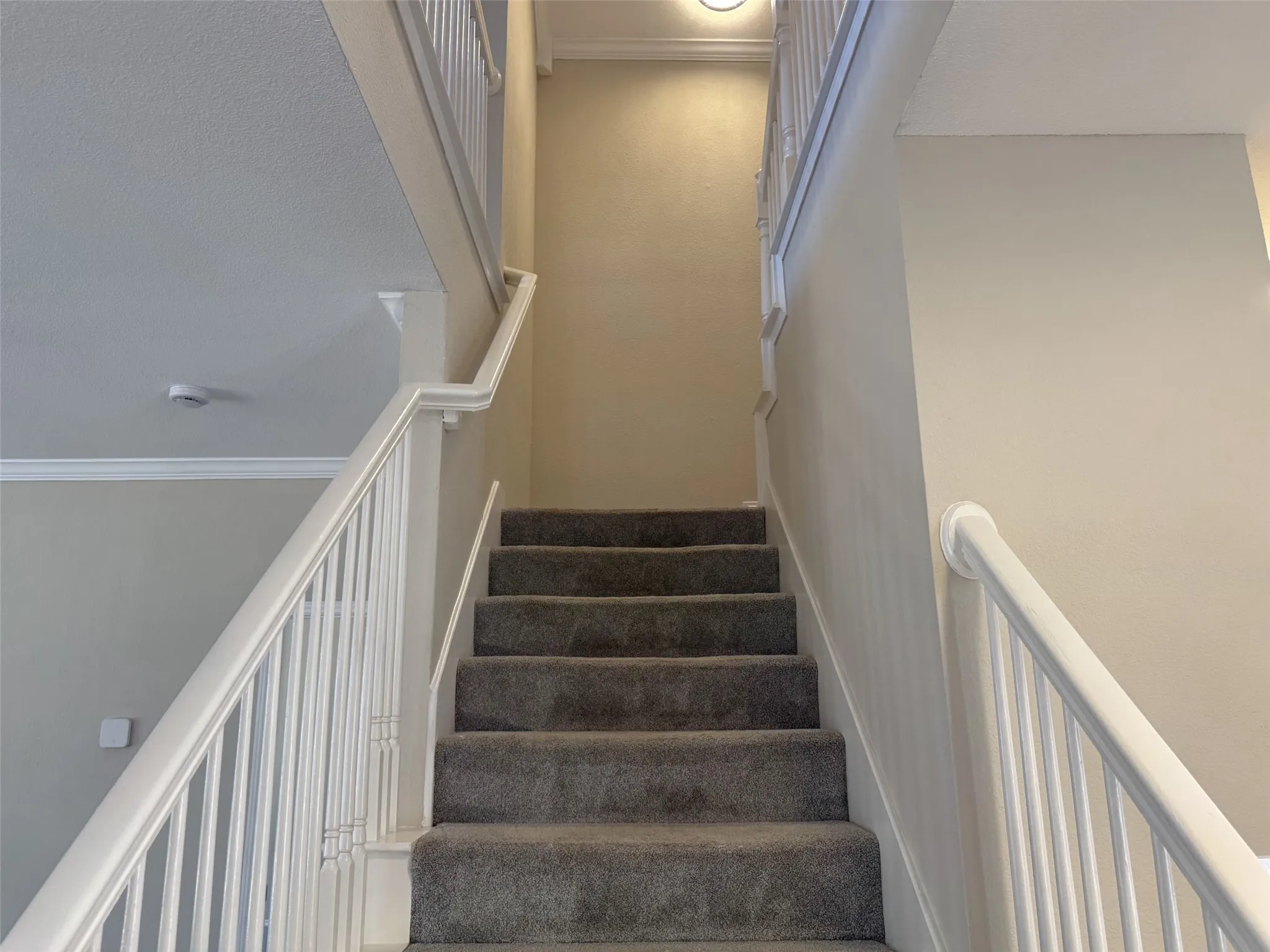 Single Family Residence For Rent in Denton County , 3204 Windridge Lane, Corinth, Texas 76208, 4 Bedroom, 3 Bathroom, 2 Garage spaces, 2,195 Sqft, built in 1999, mls#21382916, Real Estate Agent in Corinth, Homes For Rent in Denton county, Homes For Rent in Corinth, Realtor in Corinth Texas, Real Estate Brokerage Independent Realty Texas, Luminita Cordes Realtor