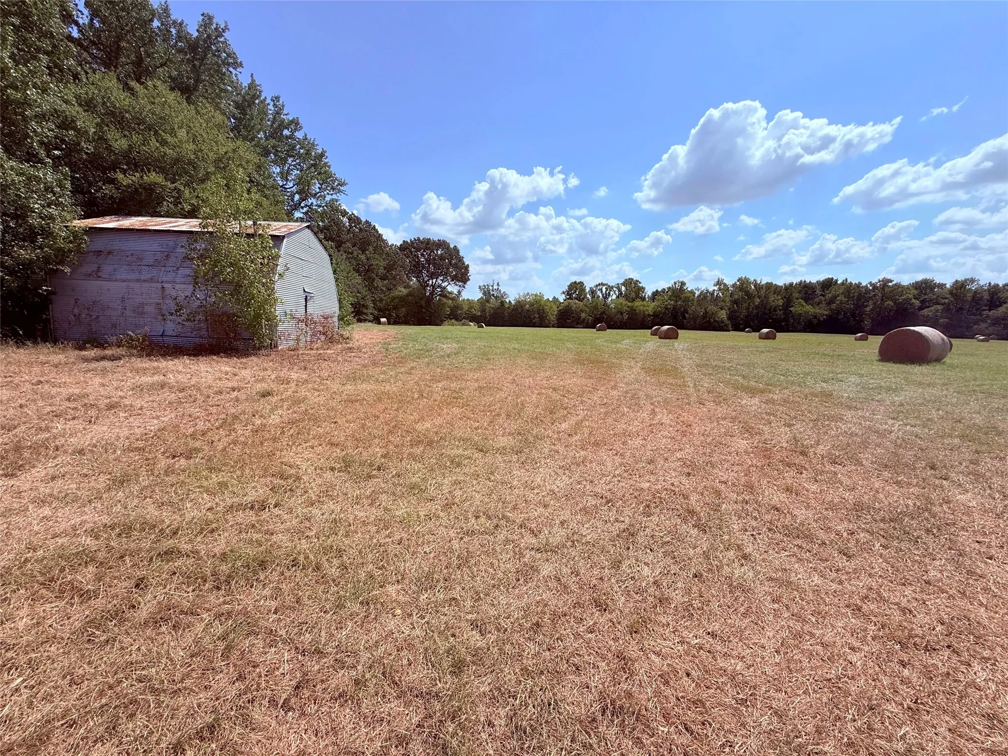 Barn