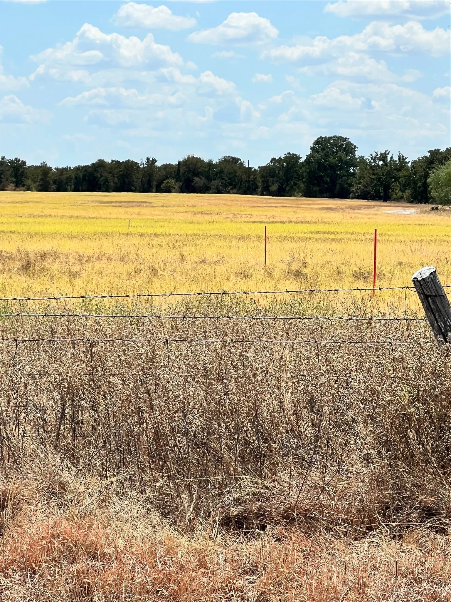 Unimproved Land For Sale in Parker County , TBD Lot 1 & 2 Wolf Hollow, Millsap, Texas 76066, 0, 0, Garage spaces, 0 Sqft, built in 0, mls#21384663, Real Estate Agent in Millsap, Homes For Sale in Parker county, Homes For Sale in Millsap, Realtor in Millsap Texas, Real Estate Brokerage Independent Realty Texas, Luminita Cordes Realtor