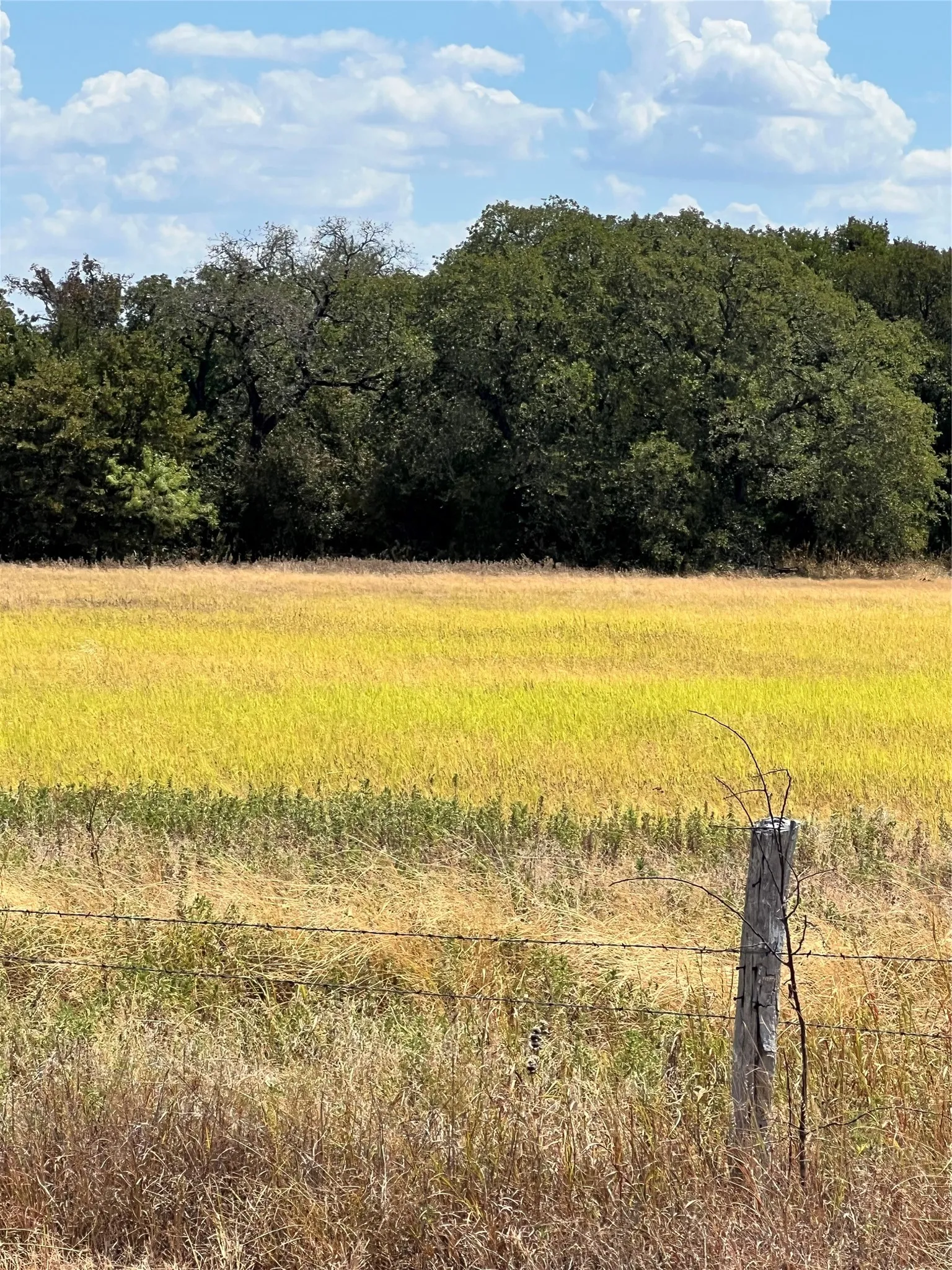 Unimproved Land For Sale in Parker County , TBD Lot 1 & 2 Wolf Hollow, Millsap, Texas 76066, 0, 0, Garage spaces, 0 Sqft, built in 0, mls#21384663, Real Estate Agent in Millsap, Homes For Sale in Parker county, Homes For Sale in Millsap, Realtor in Millsap Texas, Real Estate Brokerage Independent Realty Texas, Luminita Cordes Realtor