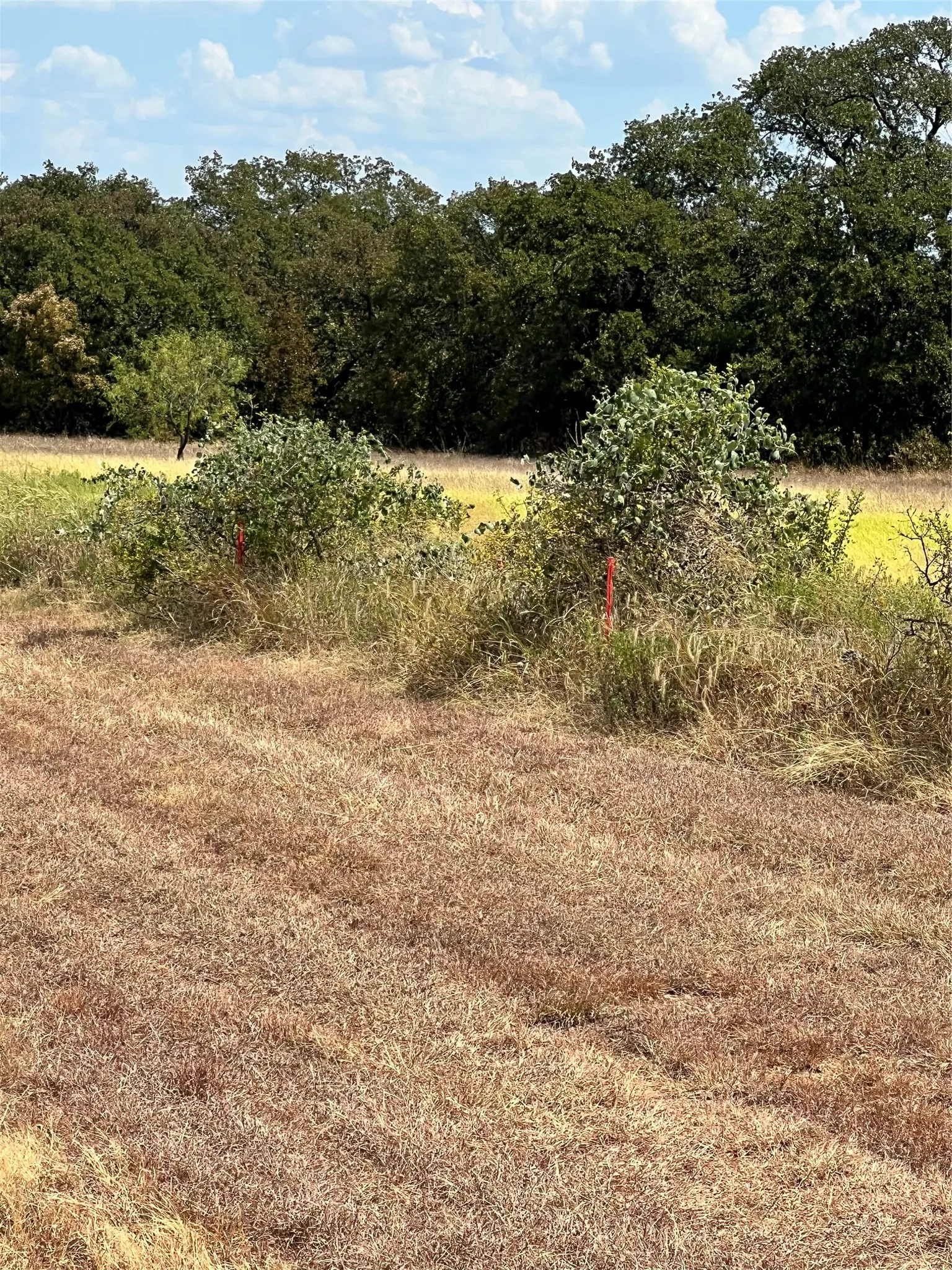 Unimproved Land For Sale in Parker County , TBD Lot 1 & 2 Wolf Hollow, Millsap, Texas 76066, 0, 0, Garage spaces, 0 Sqft, built in 0, mls#21384663, Real Estate Agent in Millsap, Homes For Sale in Parker county, Homes For Sale in Millsap, Realtor in Millsap Texas, Real Estate Brokerage Independent Realty Texas, Luminita Cordes Realtor