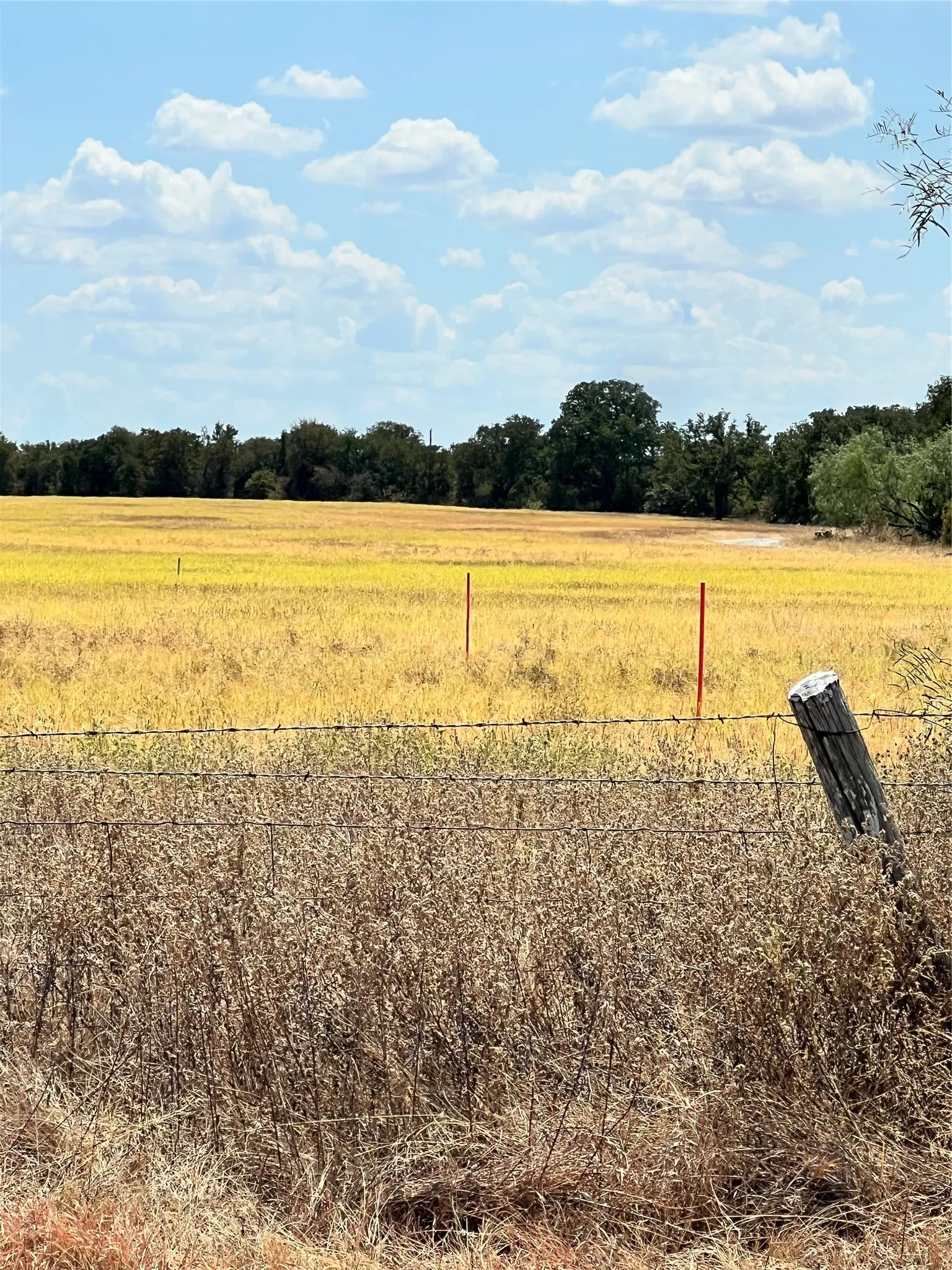 Unimproved Land For Sale in Parker County , TBD Lot 1 & 2 Wolf Hollow, Millsap, Texas 76066, 0, 0, Garage spaces, 0 Sqft, built in 0, mls#21384663, Real Estate Agent in Millsap, Homes For Sale in Parker county, Homes For Sale in Millsap, Realtor in Millsap Texas, Real Estate Brokerage Independent Realty Texas, Luminita Cordes Realtor