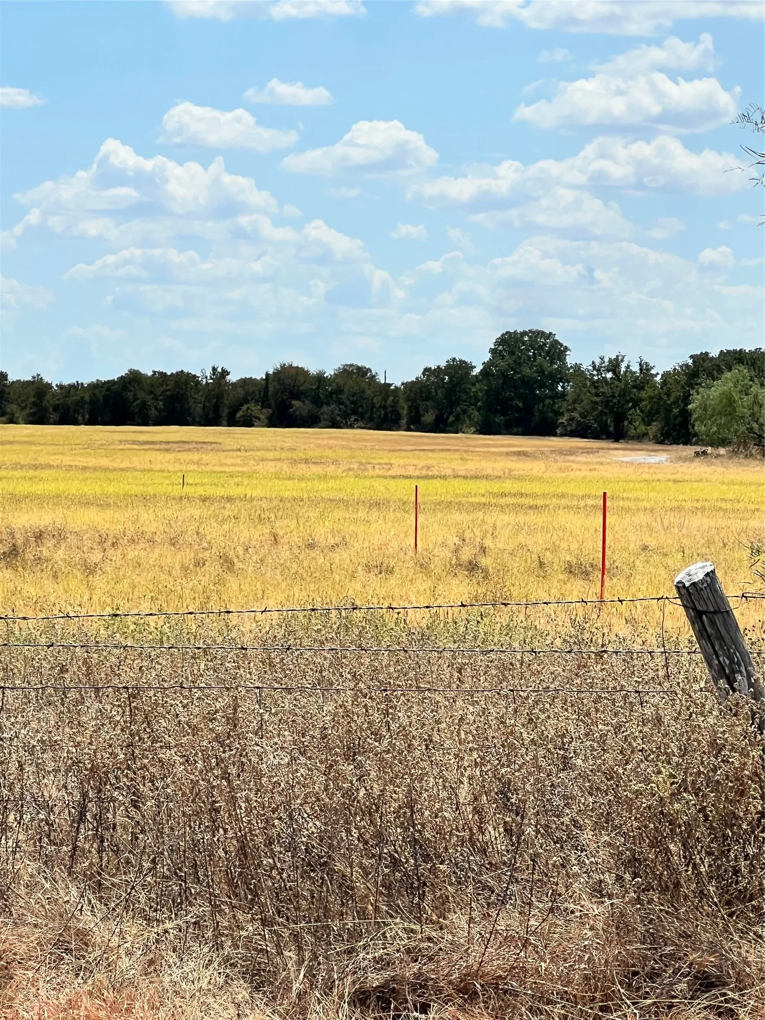 Unimproved Land For Sale in Parker County , TBD Lot 1 & 2 Wolf Hollow, Millsap, Texas 76066, 0, 0, Garage spaces, 0 Sqft, built in 0, mls#21384663, Real Estate Agent in Millsap, Homes For Sale in Parker county, Homes For Sale in Millsap, Realtor in Millsap Texas, Real Estate Brokerage Independent Realty Texas, Luminita Cordes Realtor