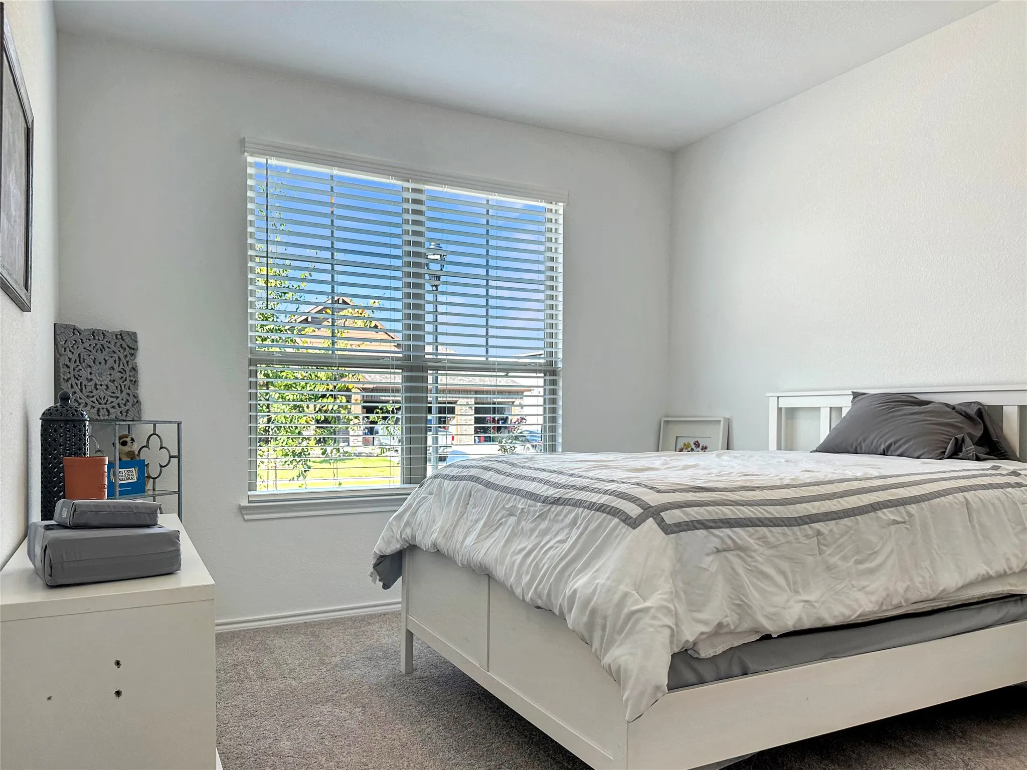 Carpeted 2nd primary bedroom with multiple windows