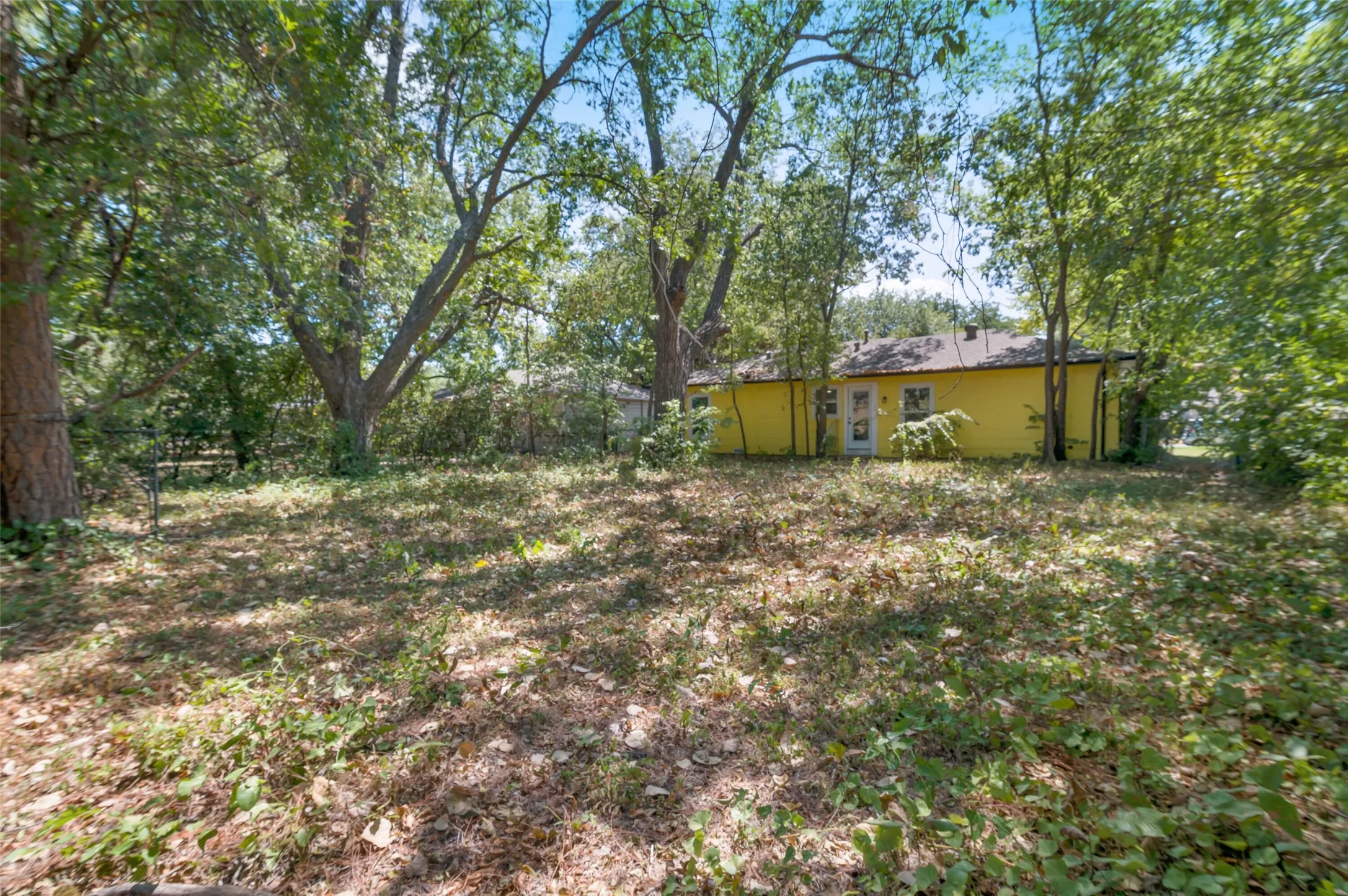 Large back yard with native vegetation.