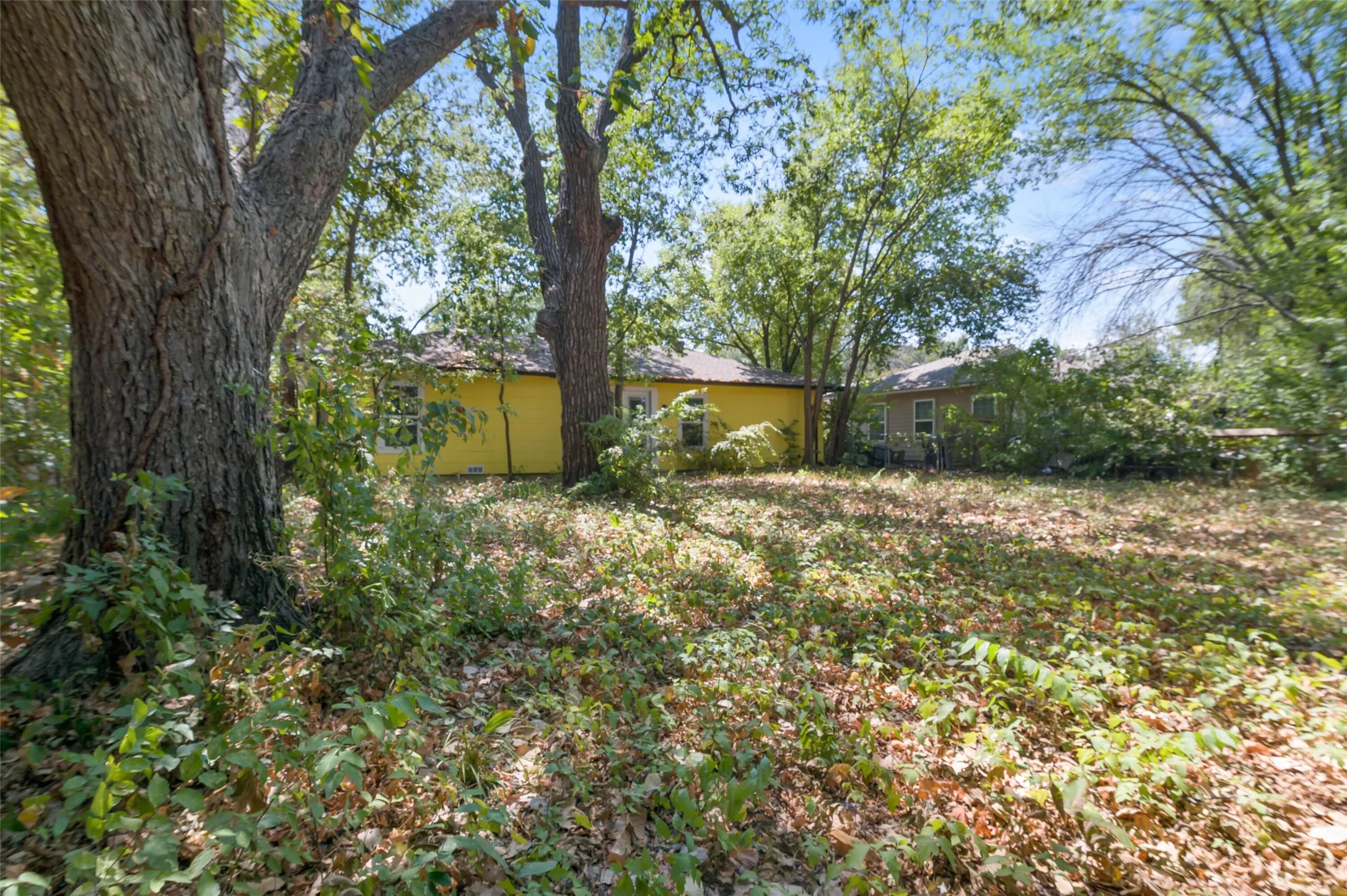 Large back yard with native vegetation.