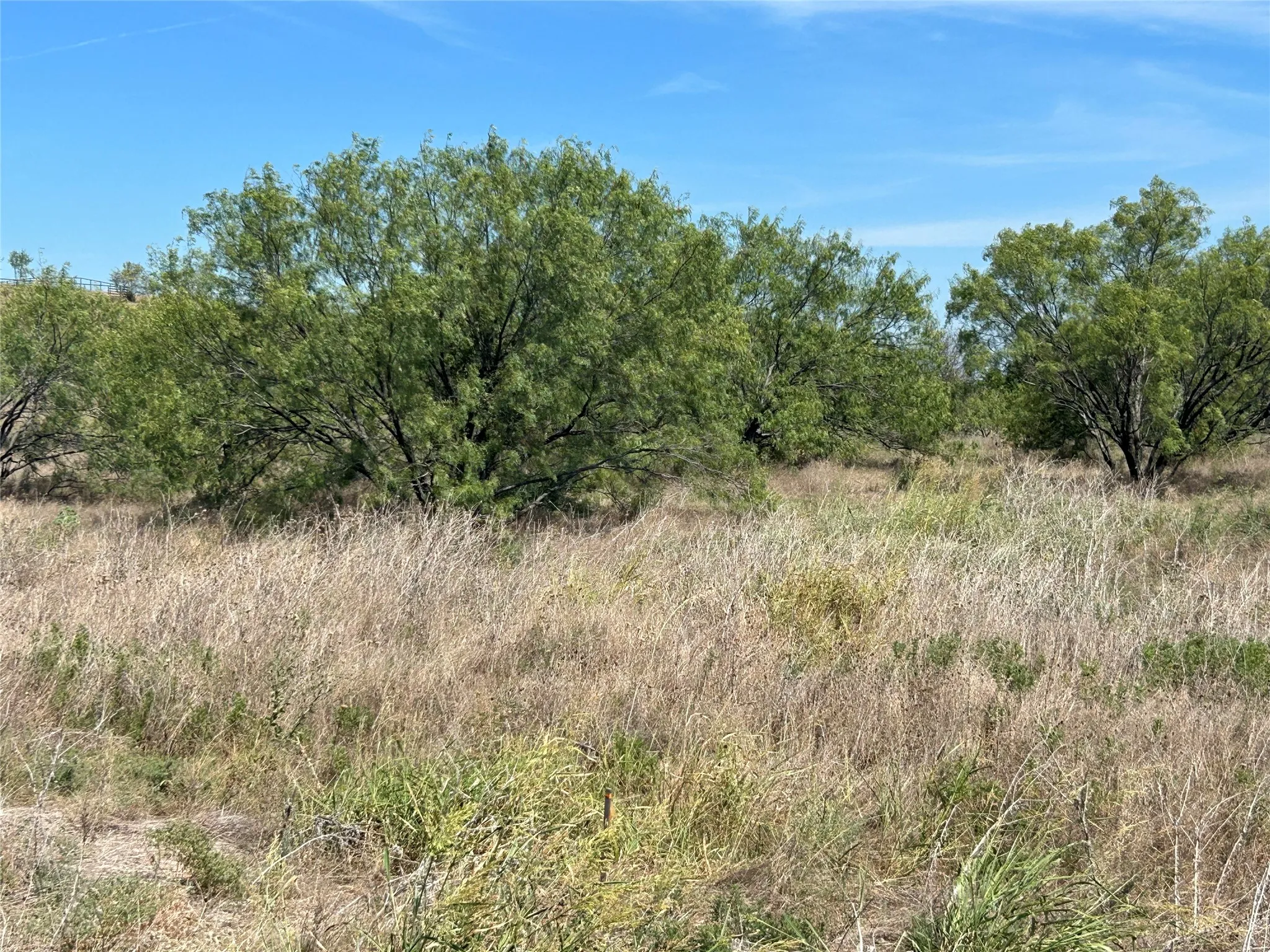 Unimproved Land For Sale in Parker County , 5001 Luker Street, Aledo, Texas 76008, 0, 0, Garage spaces, 0 Sqft, built in 0, mls#21384674, Real Estate Agent in Aledo, Homes For Sale in Parker county, Homes For Sale in Aledo, Realtor in Aledo Texas, Real Estate Brokerage Independent Realty Texas, Luminita Cordes Realtor