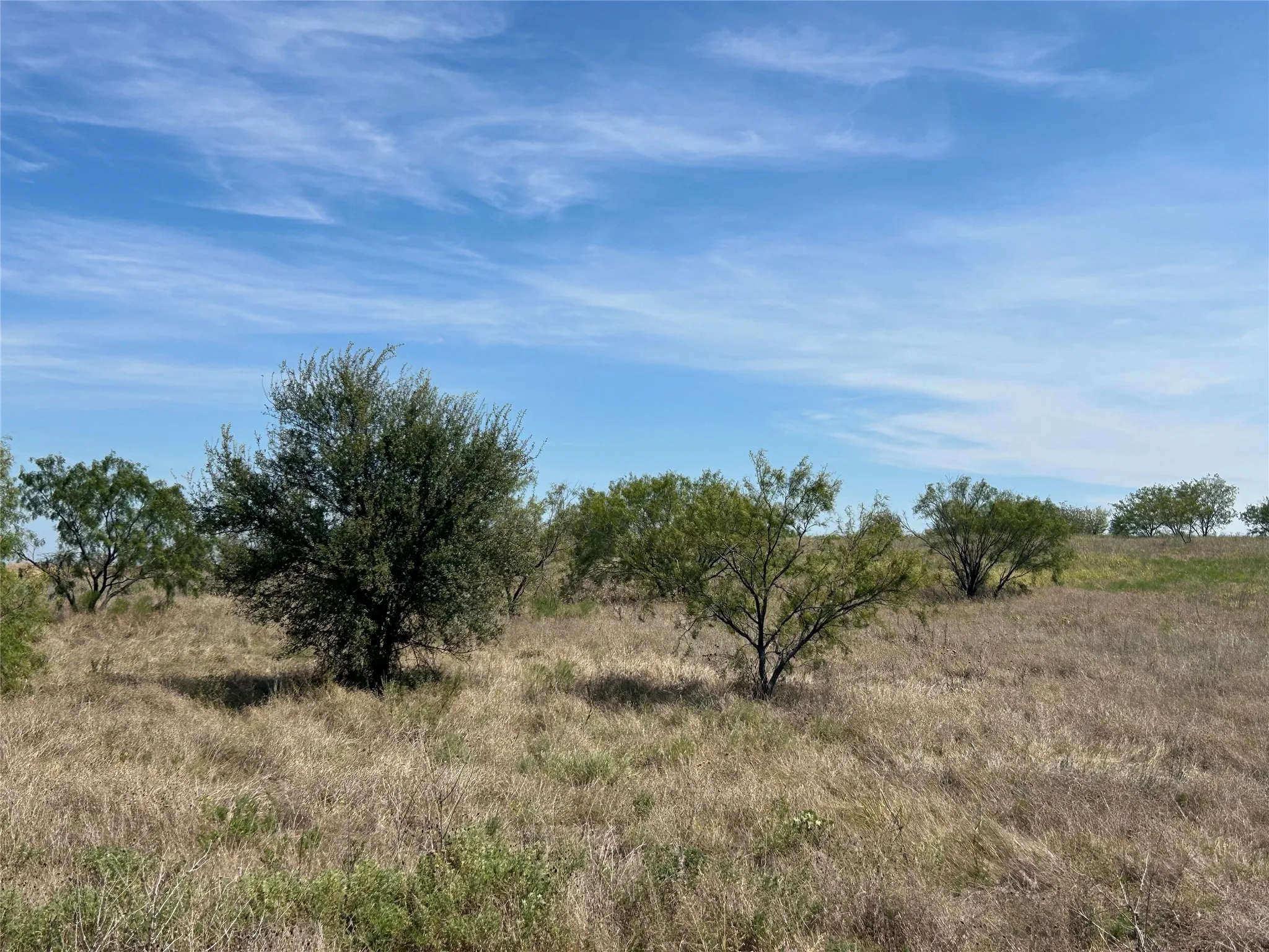 Unimproved Land For Sale in Parker County , 5001 Luker Street, Aledo, Texas 76008, 0, 0, Garage spaces, 0 Sqft, built in 0, mls#21384674, Real Estate Agent in Aledo, Homes For Sale in Parker county, Homes For Sale in Aledo, Realtor in Aledo Texas, Real Estate Brokerage Independent Realty Texas, Luminita Cordes Realtor